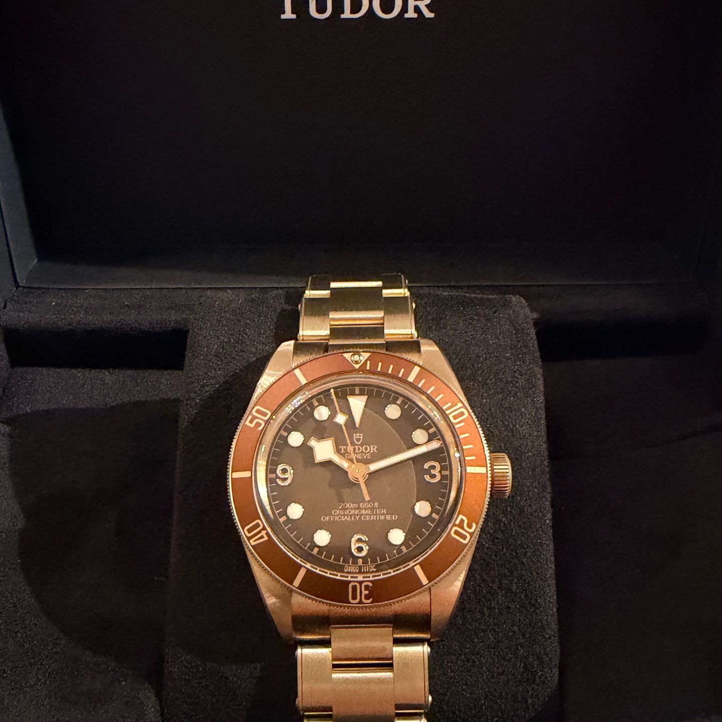 Tudor Black Bay Bronze 79012M - (1/6)
