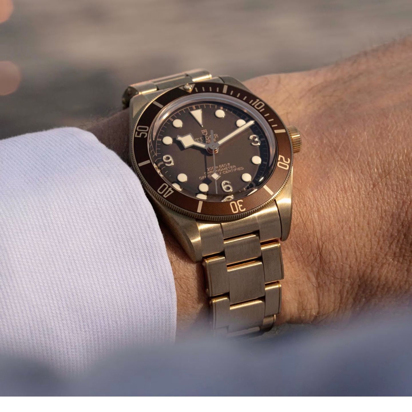 Tudor Black Bay Bronze 79012M - (5/6)