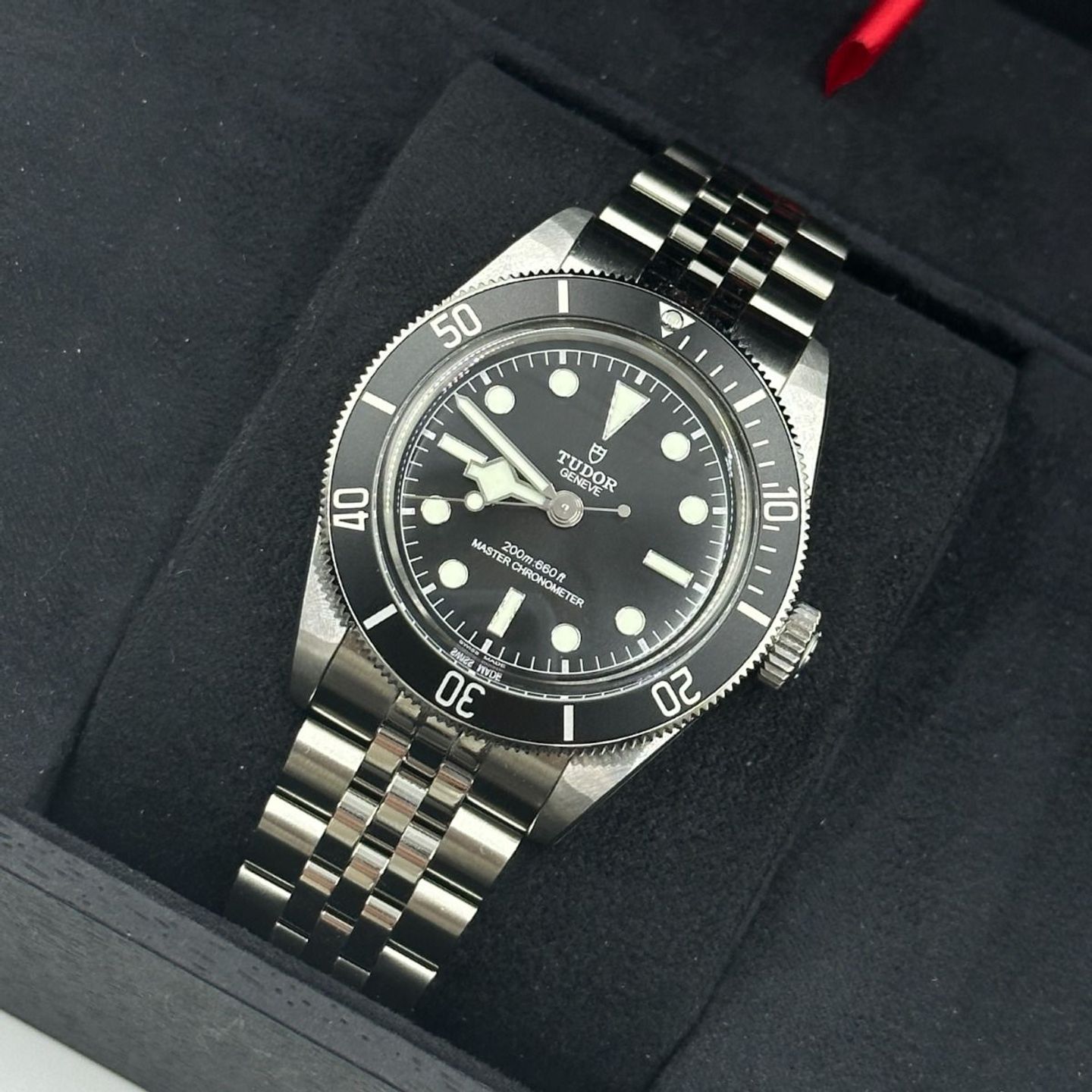 Tudor Black Bay 7941A1A0NU-0003 - (8/8)