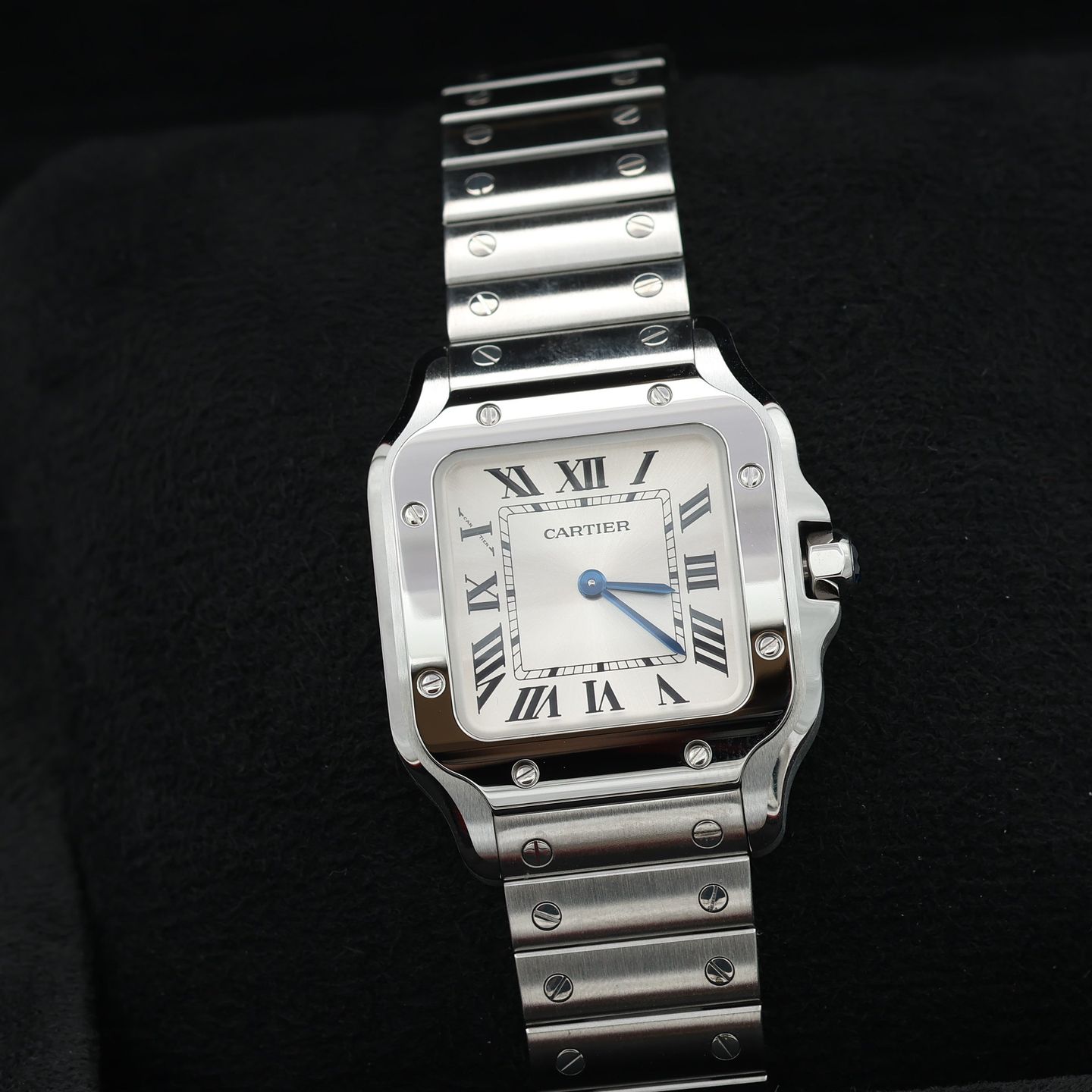 Cartier Santos WSSA0030 - (1/8)
