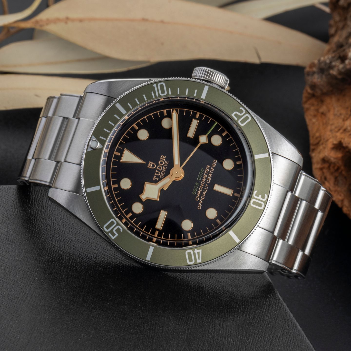Tudor Black Bay 79230G - (2/8)