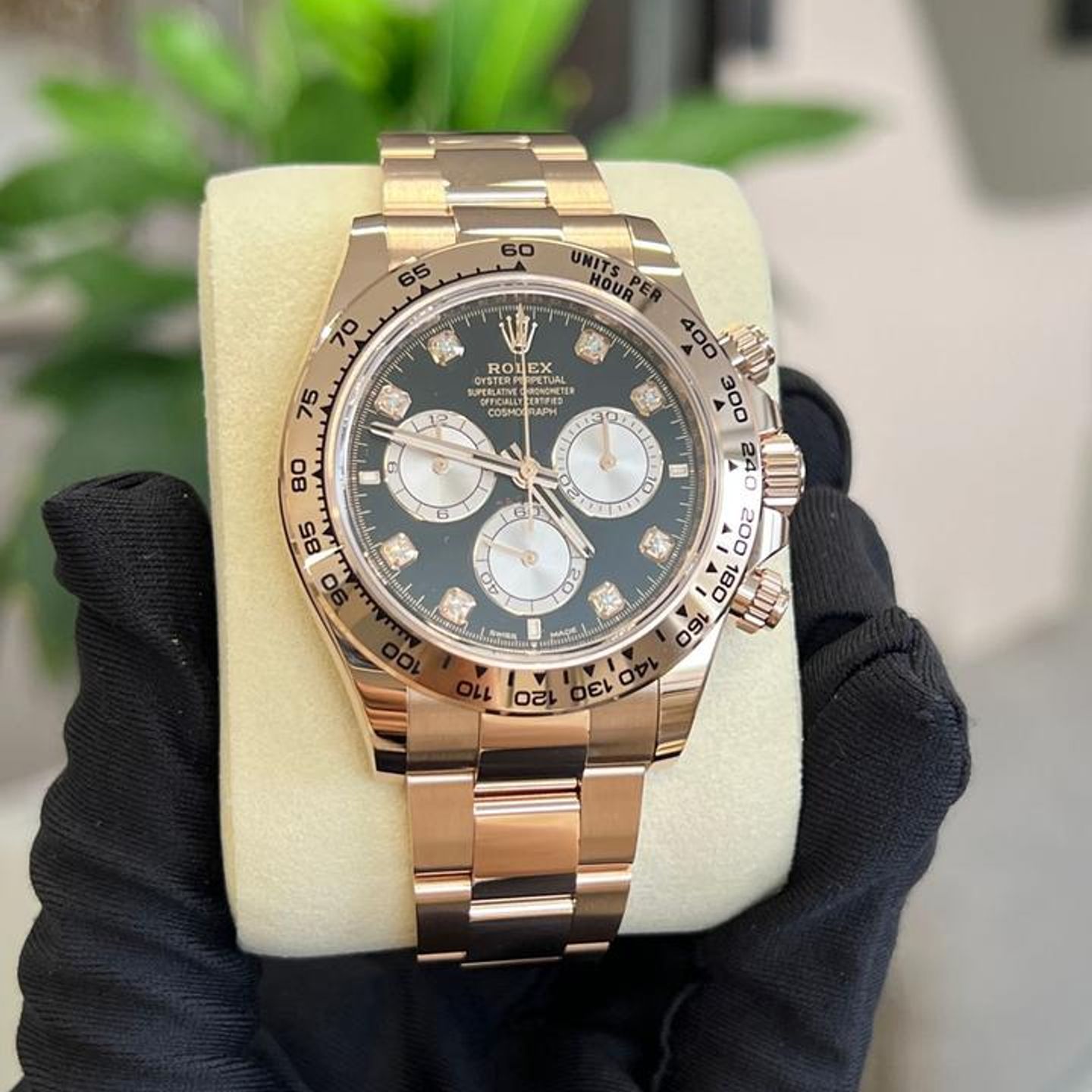 Rolex Daytona 126505 - (1/7)