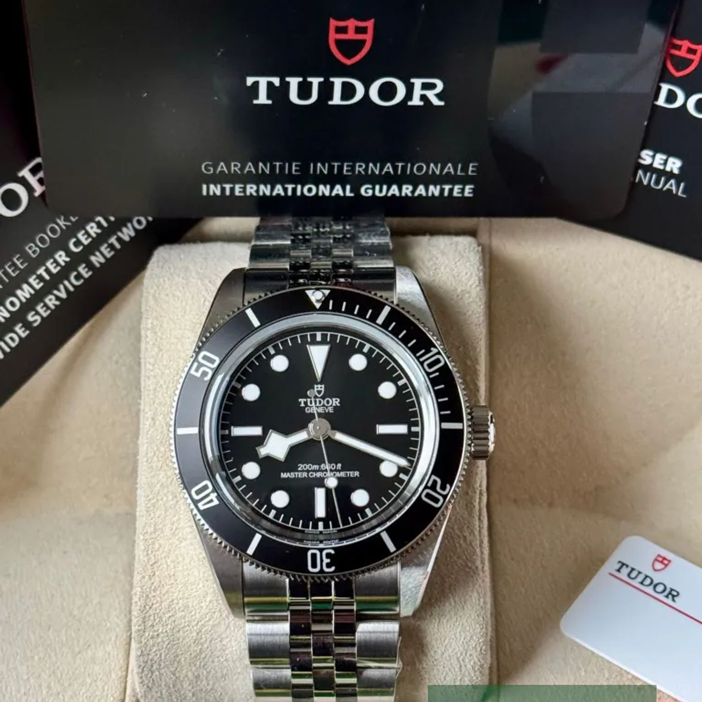 Tudor Black Bay 7941A1A0NU - (7/7)