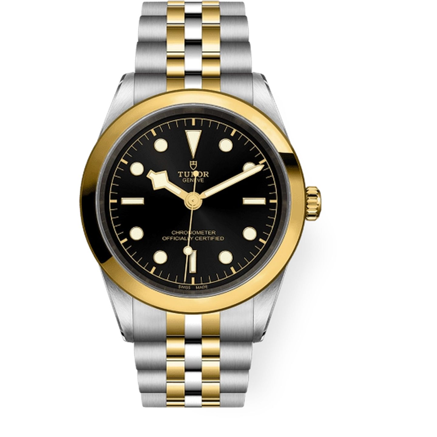 Tudor Black Bay S&G 79683 - (1/1)