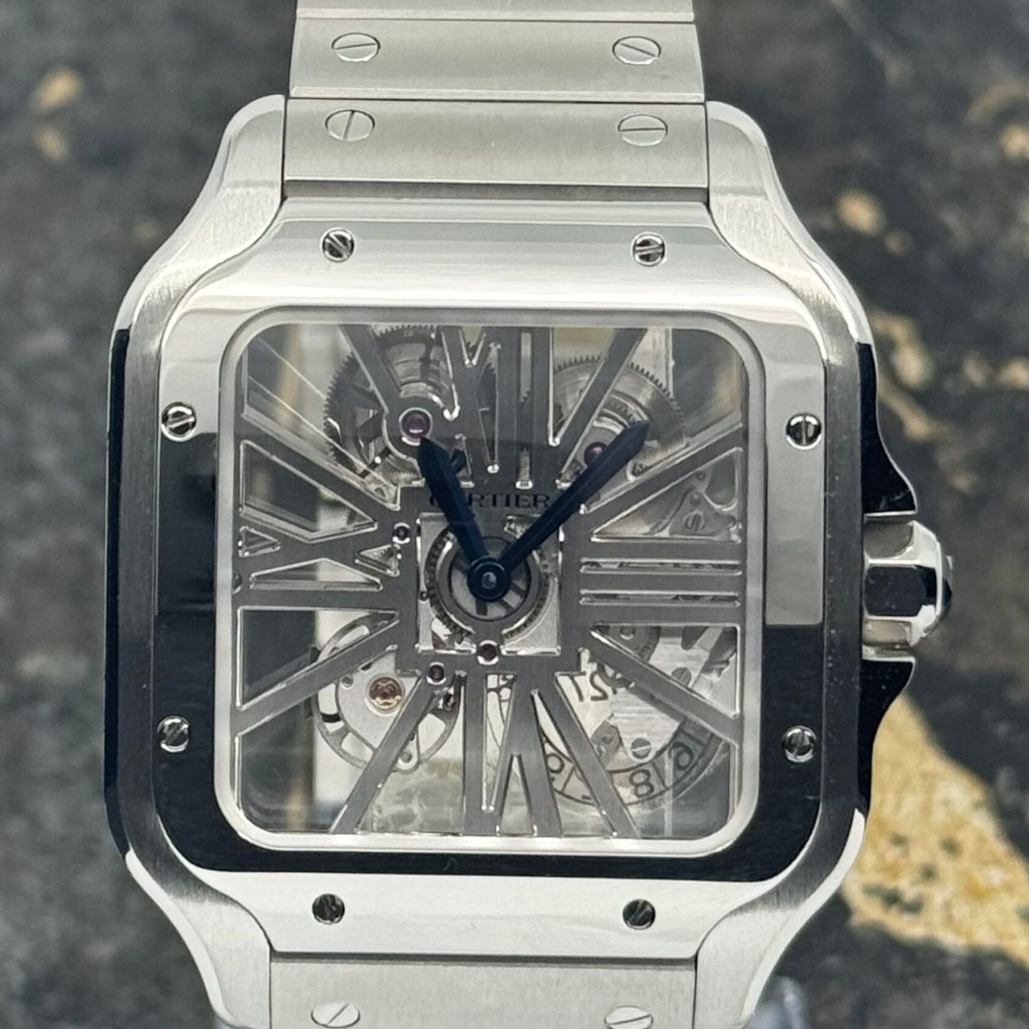 Cartier Santos WHSA0015 - (5/8)