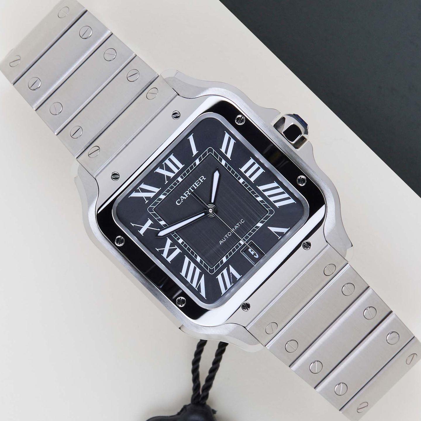 Cartier Santos WSSA0096 - (1/8)
