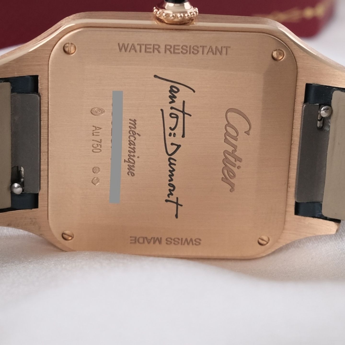 Cartier Santos Dumont WGSA0098 - (7/8)