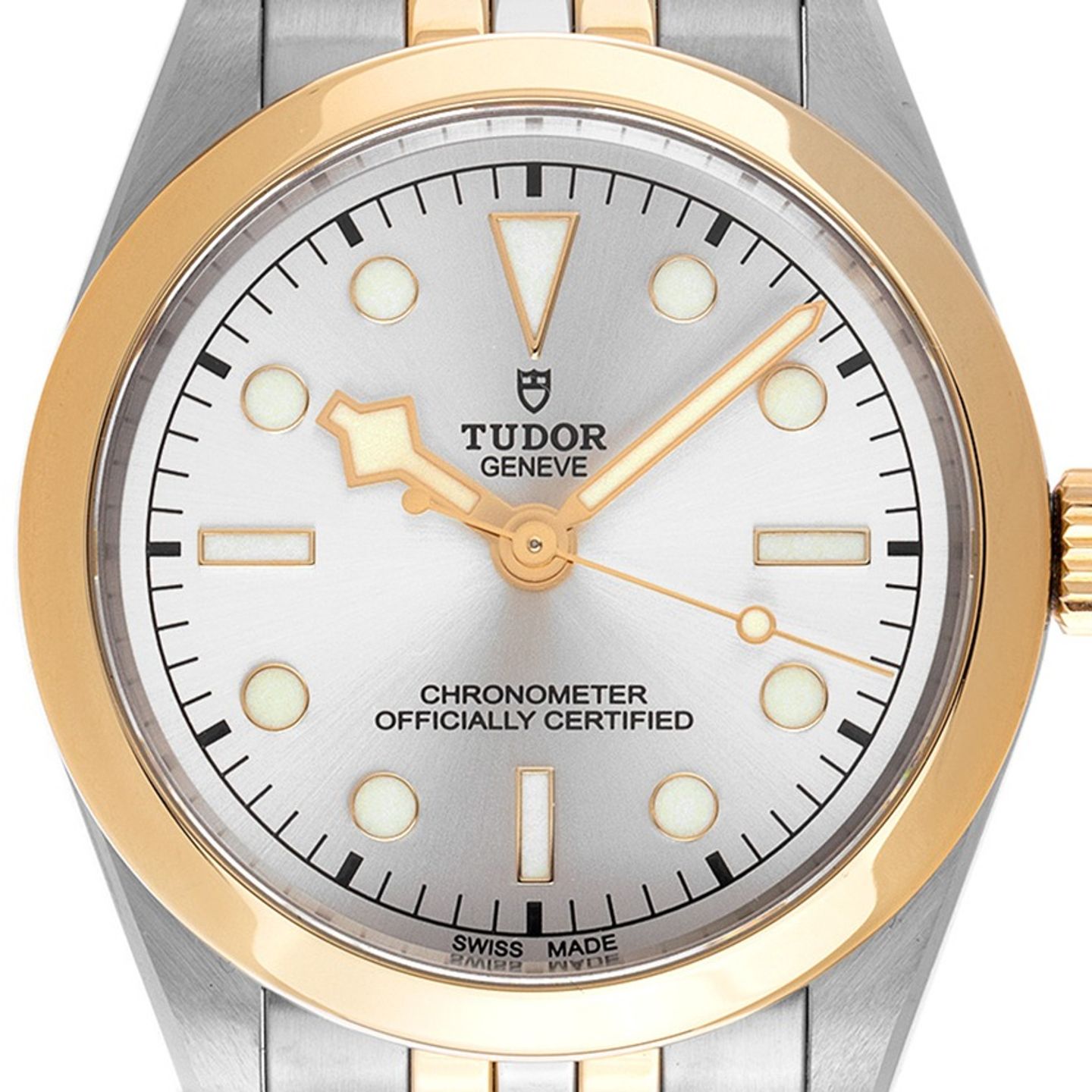 Tudor Black Bay S&G 79663 - (1/7)