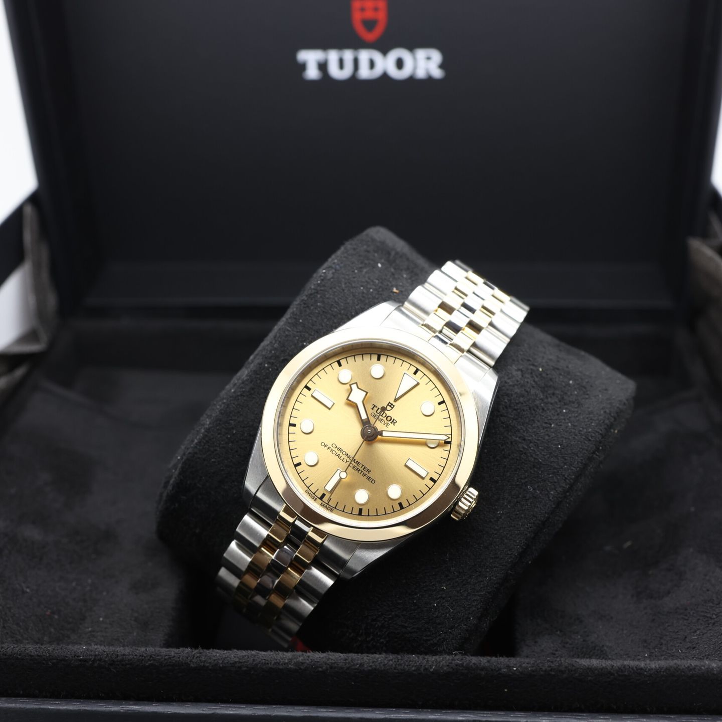 Tudor Black Bay S&G 79643 - (8/8)
