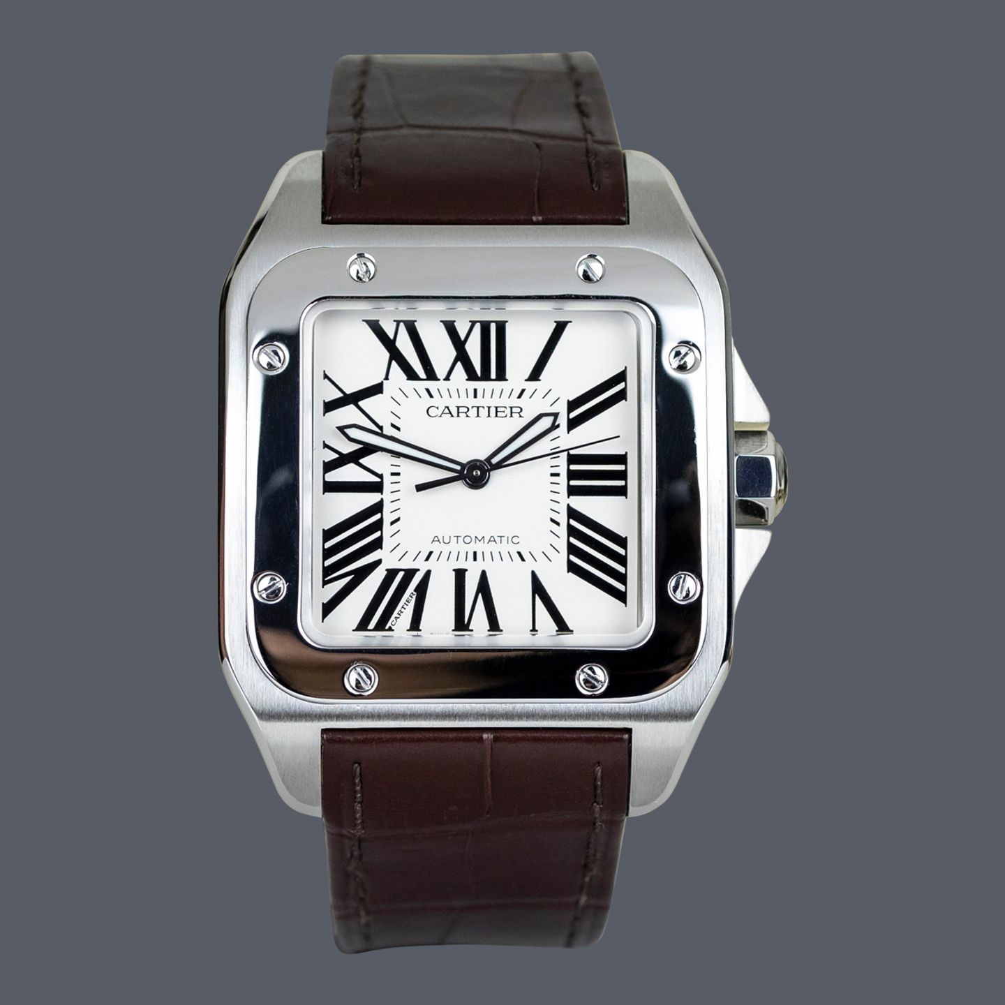 Cartier Santos 100 W20073X8 - (1/1)