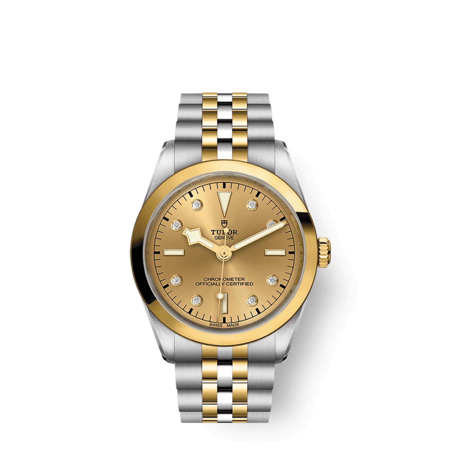 Tudor Black Bay S&G 79643 - (1/1)