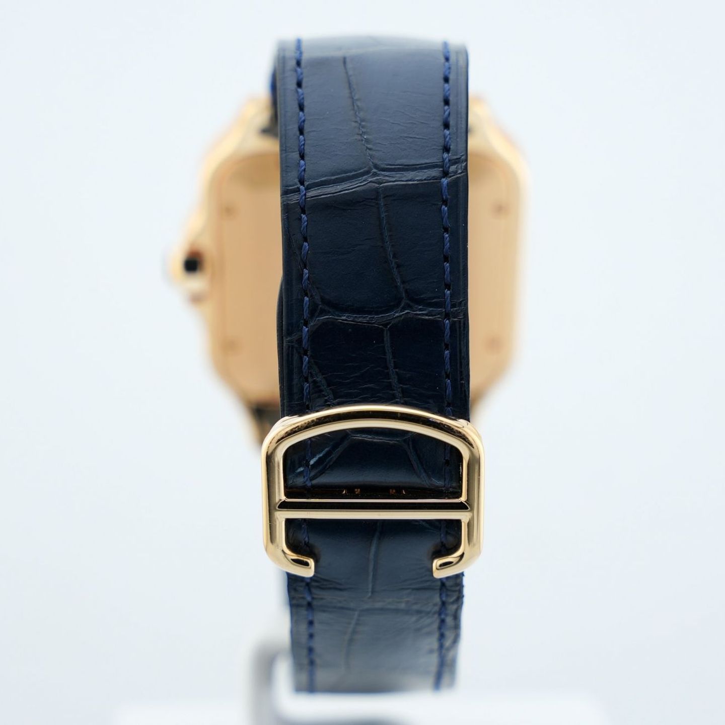 Cartier Santos WGSA0011 - (5/8)