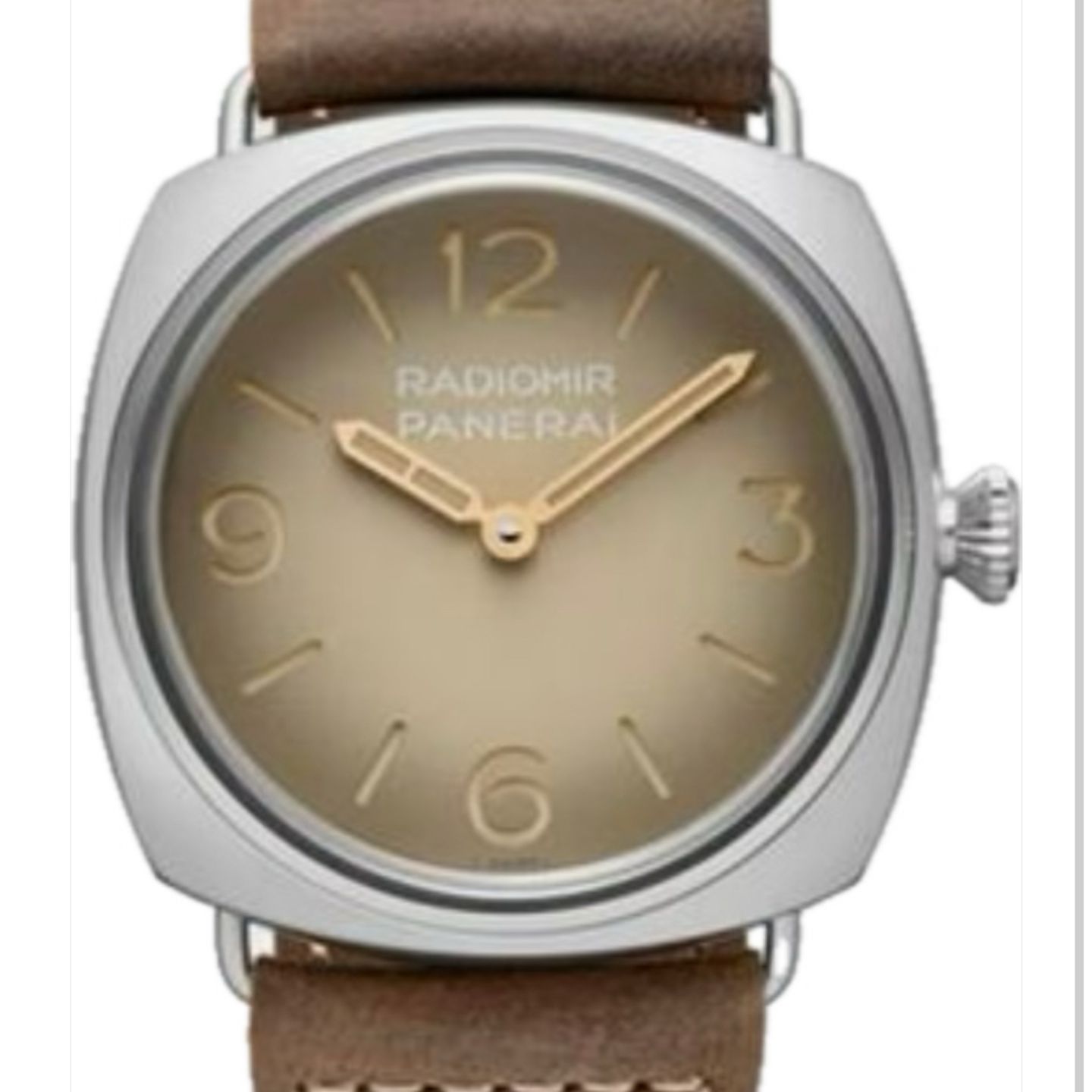 Panerai Radiomir PAM01350 (2024) - Champagne wijzerplaat 45mm Staal (1/1)