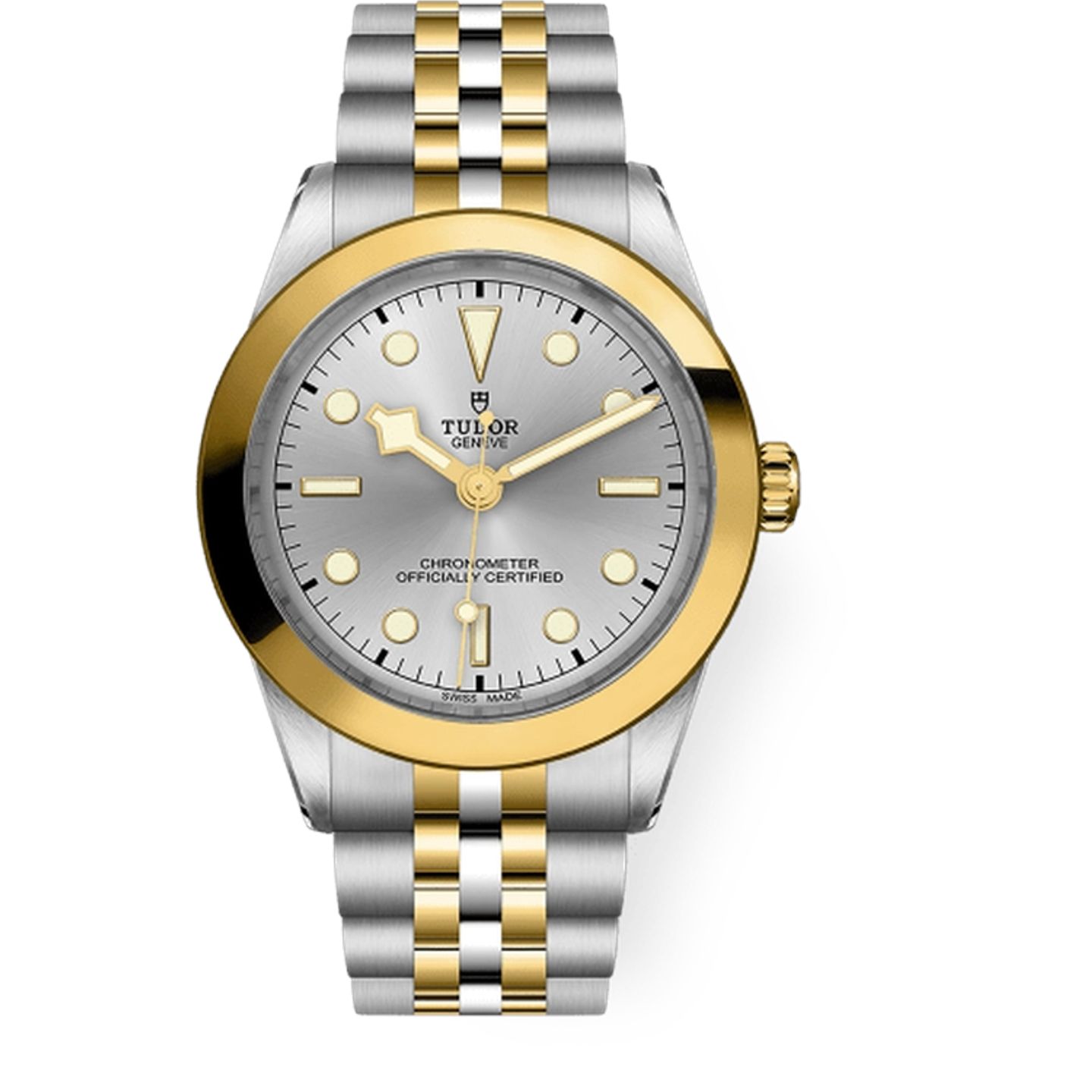 Tudor Black Bay S&G 79663 (2025) - Zilver wijzerplaat 39mm Staal (1/1)