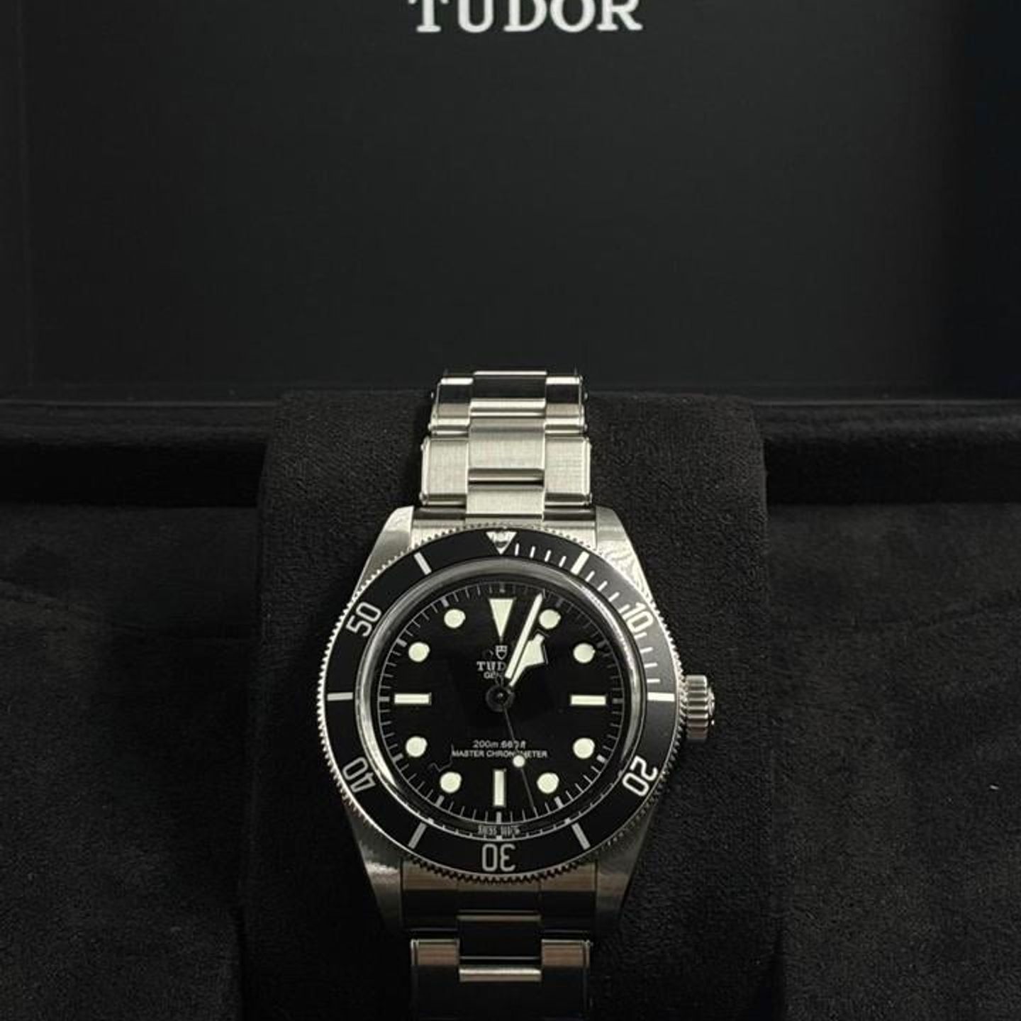 Tudor Black Bay 7941A1A0NU - (1/10)