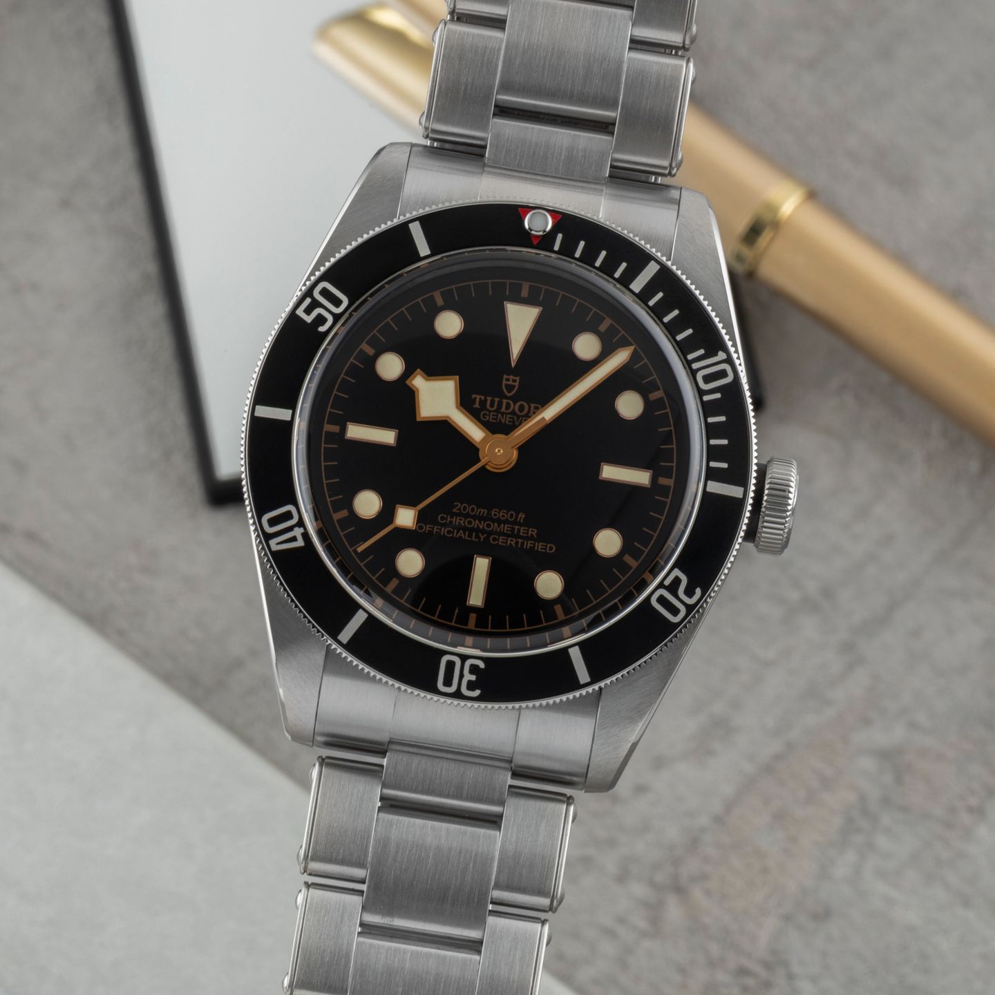 Tudor Black Bay 79230N - (3/8)