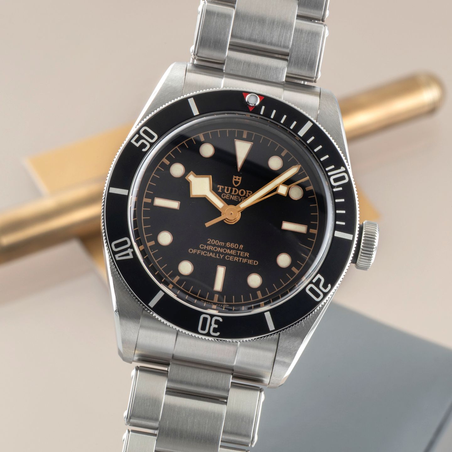 Tudor Black Bay 79230N - (3/8)
