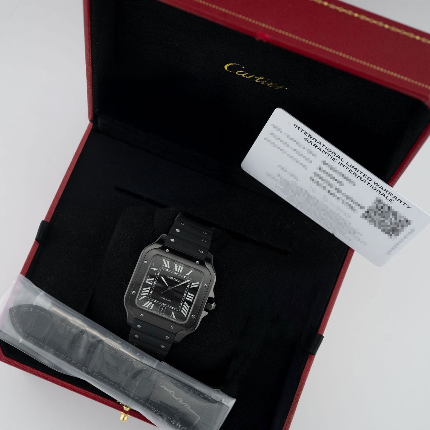 Cartier Santos WSSA0039 - (7/7)