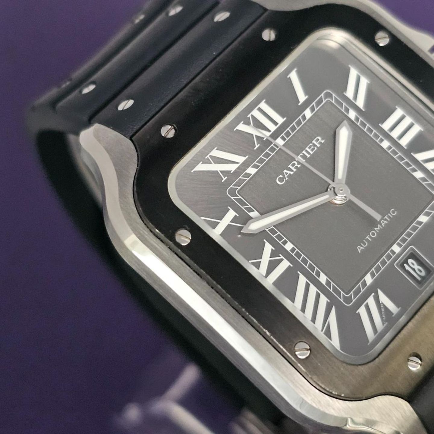 Cartier Santos WSSA0037 - (2/4)