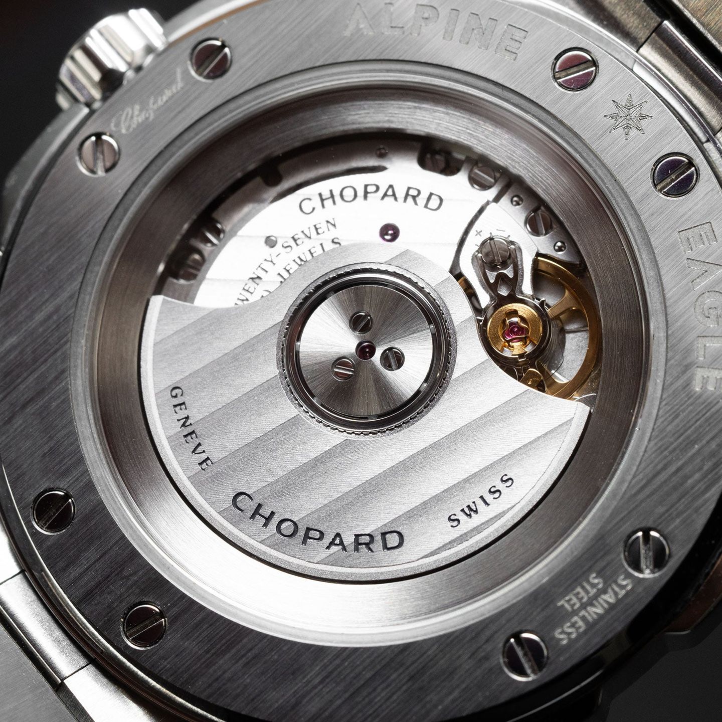 Chopard Alpine Eagle 298601-3001 - (6/7)