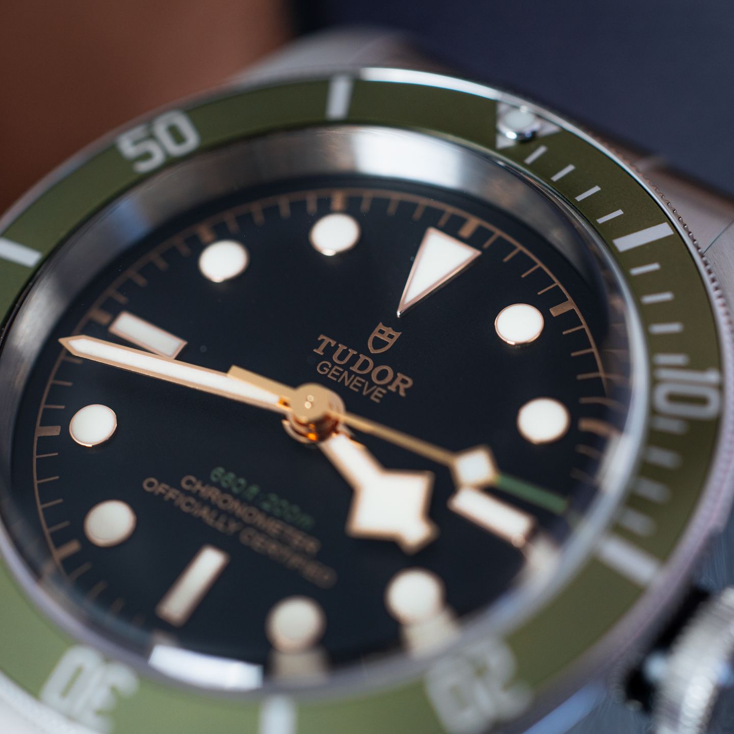 Tudor Black Bay 79230G - (3/4)