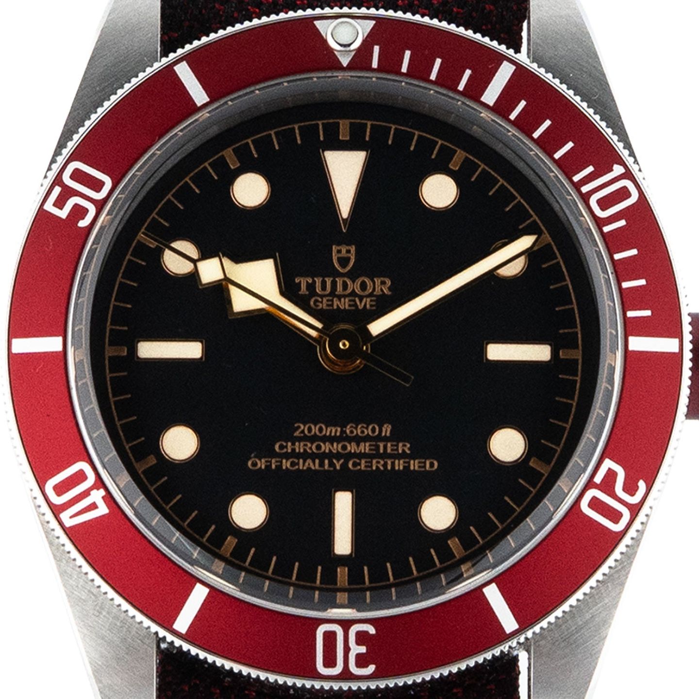 Tudor Black Bay 79230R - (2/7)