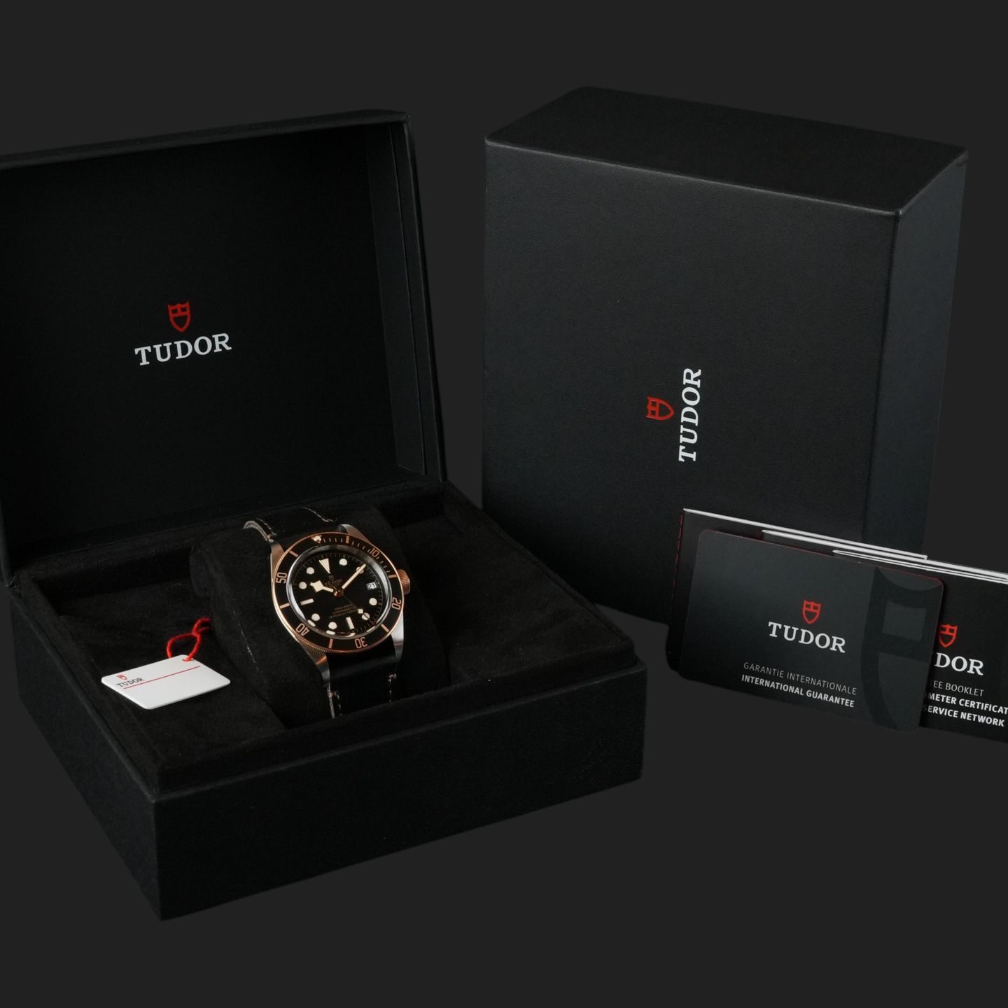 Tudor Black Bay S&G 79733N - (8/8)