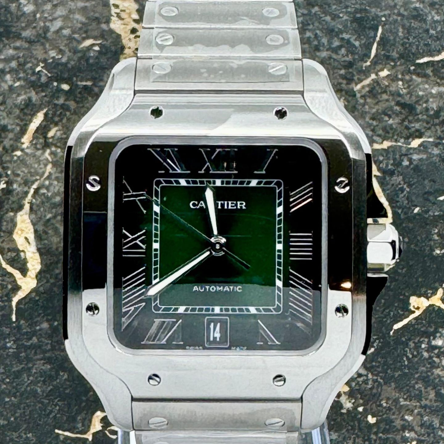 Cartier Santos WSSA0062 - (4/8)