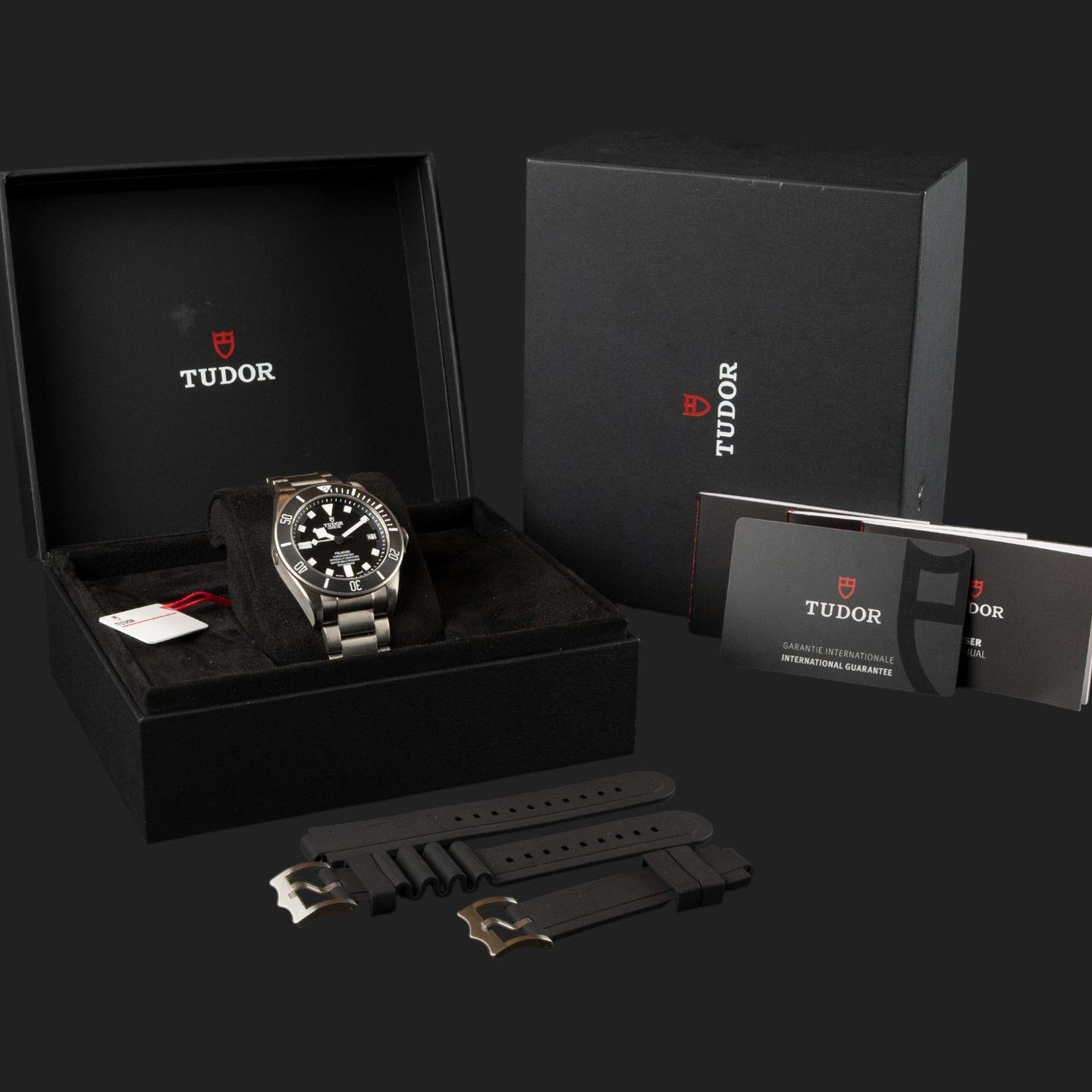 Tudor Pelagos 25600TN - (8/8)