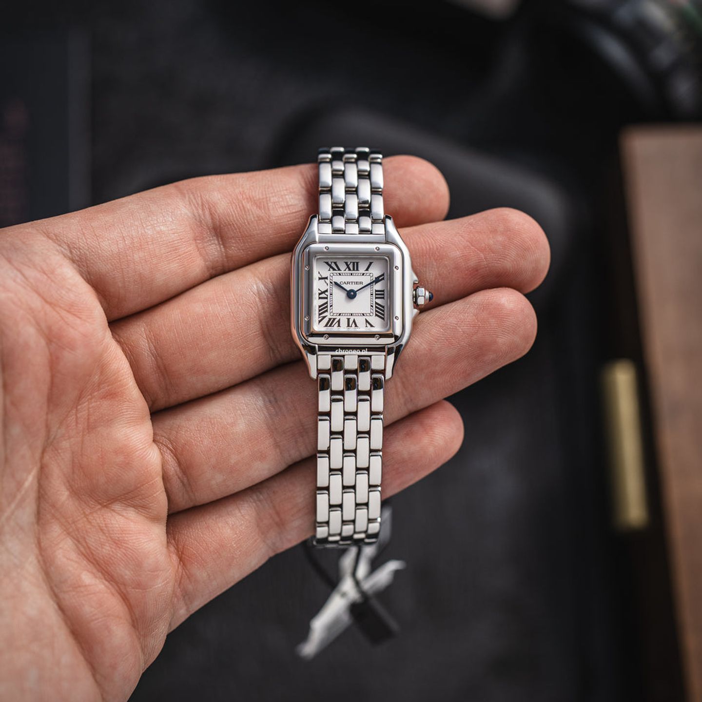 Cartier Panthère WSPN0013 (2025) - Silver dial 23 mm Steel case (5/7)