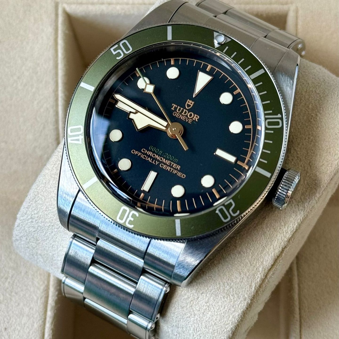 Tudor Black Bay 79230G - (3/7)