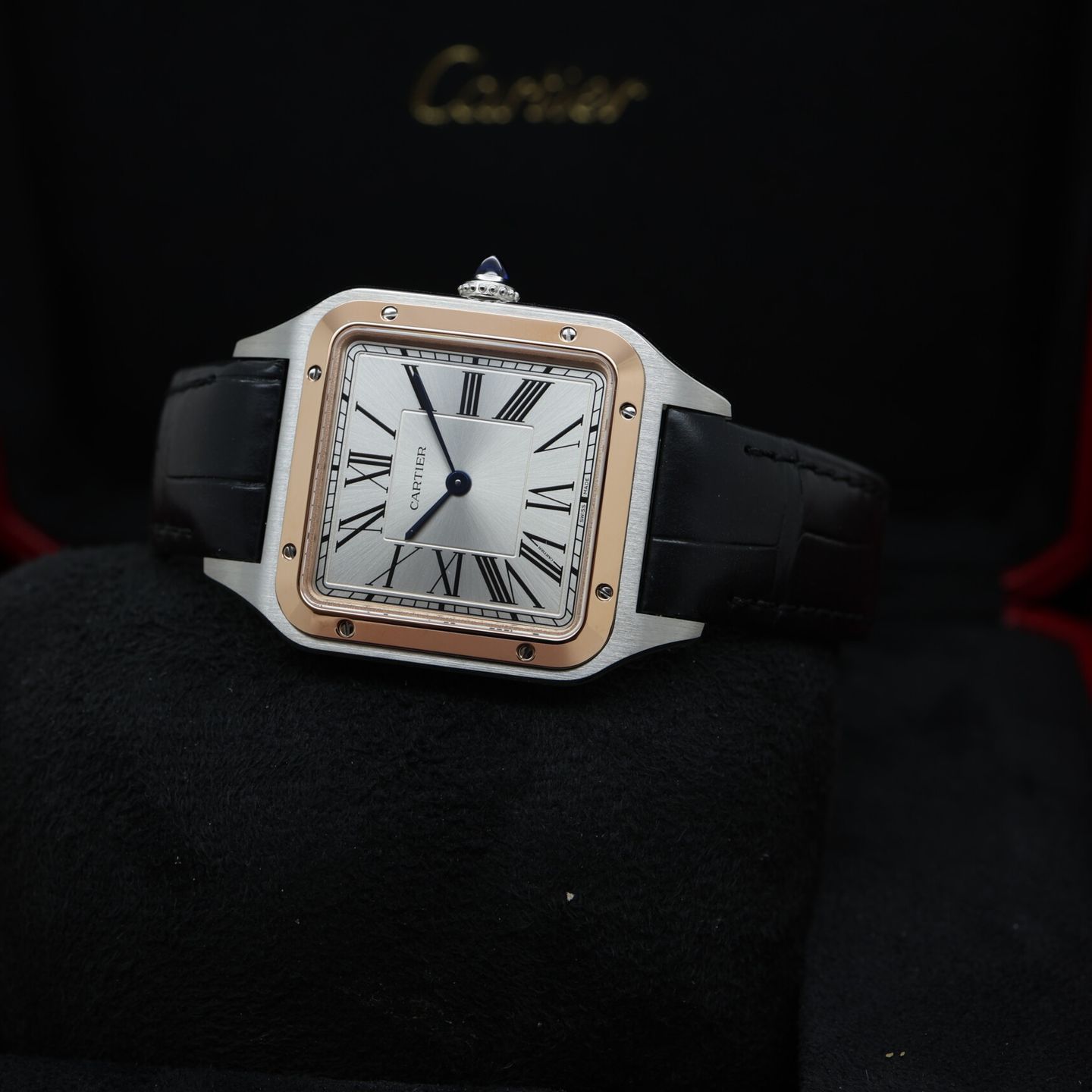 Cartier Santos Dumont W2SA0037 - (7/7)
