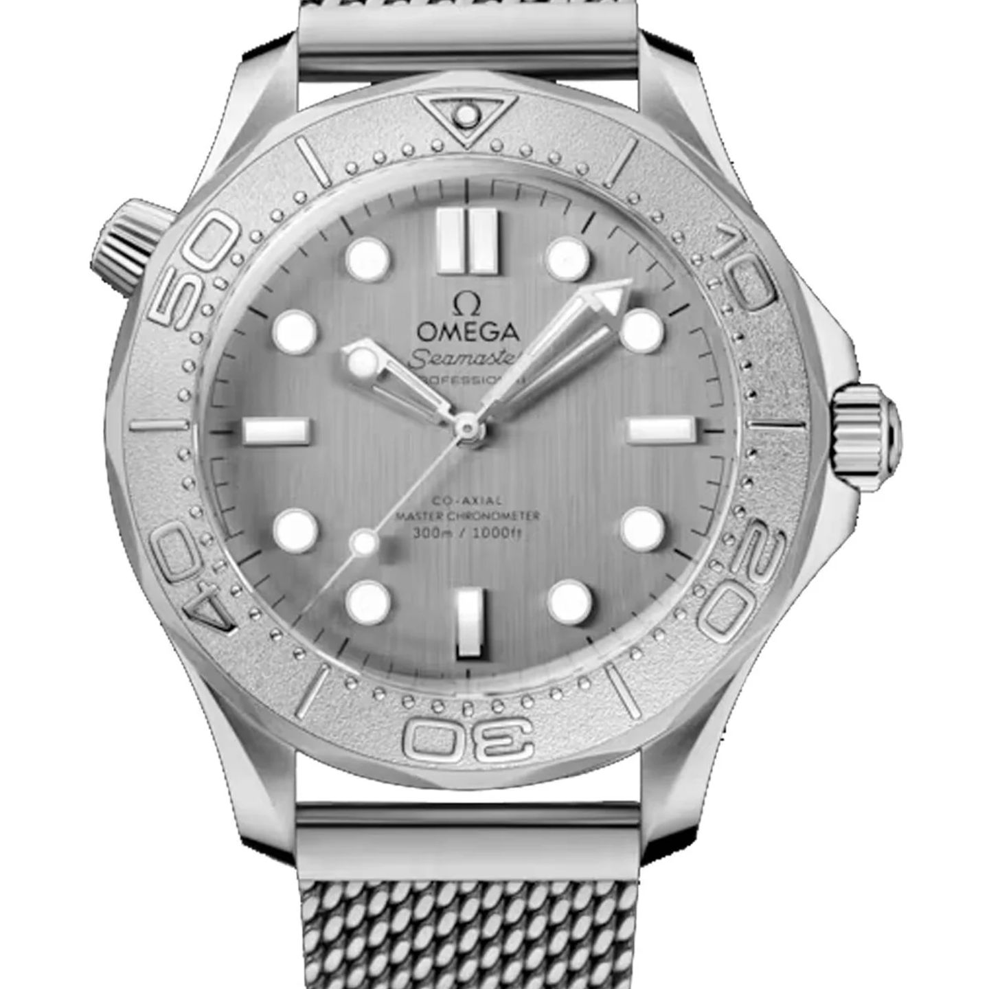 Omega Seamaster Diver 300 M 210.30.42.20.06.002 (2026) - Grijs wijzerplaat 42mm Staal (1/1)