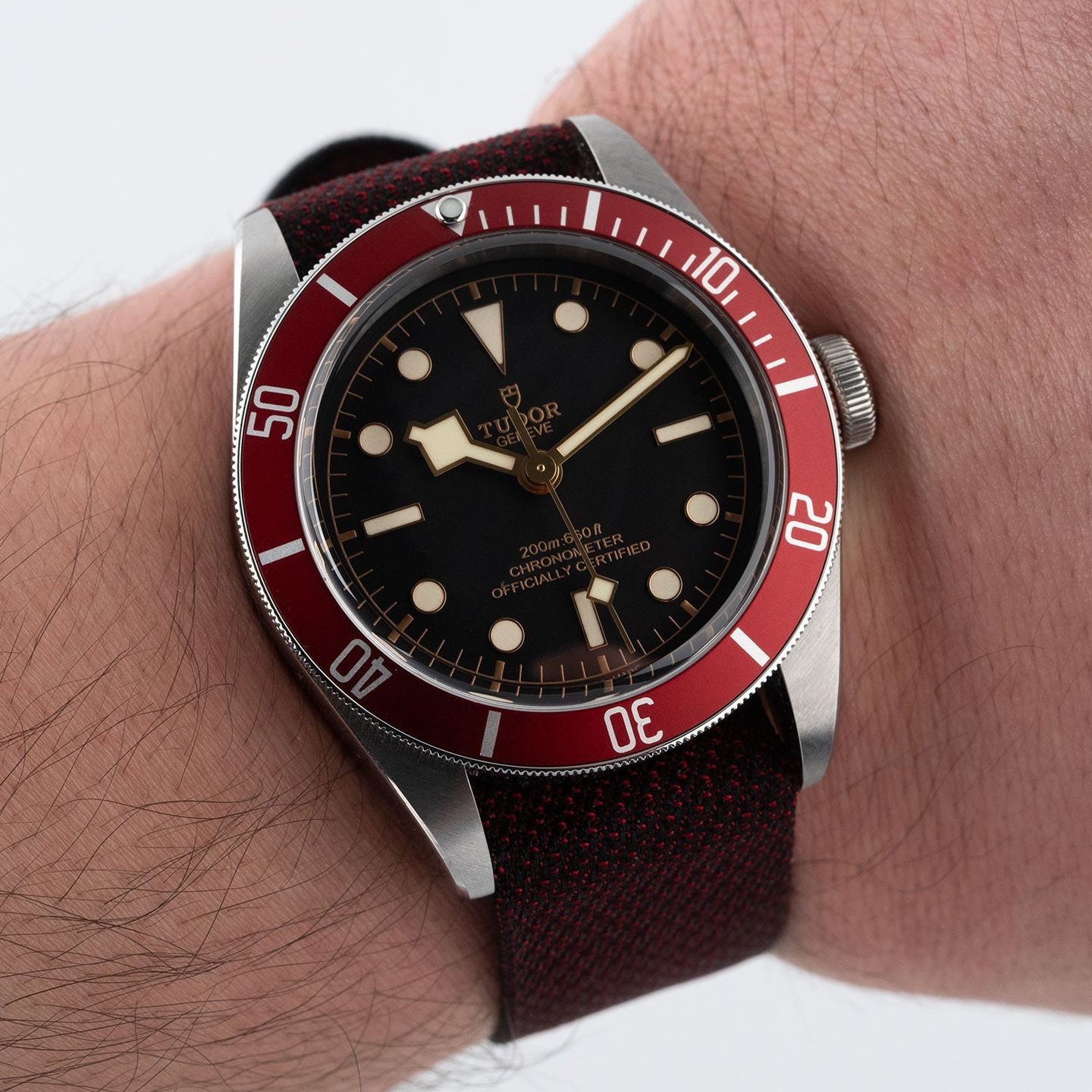 Tudor Black Bay 79230R - (6/7)