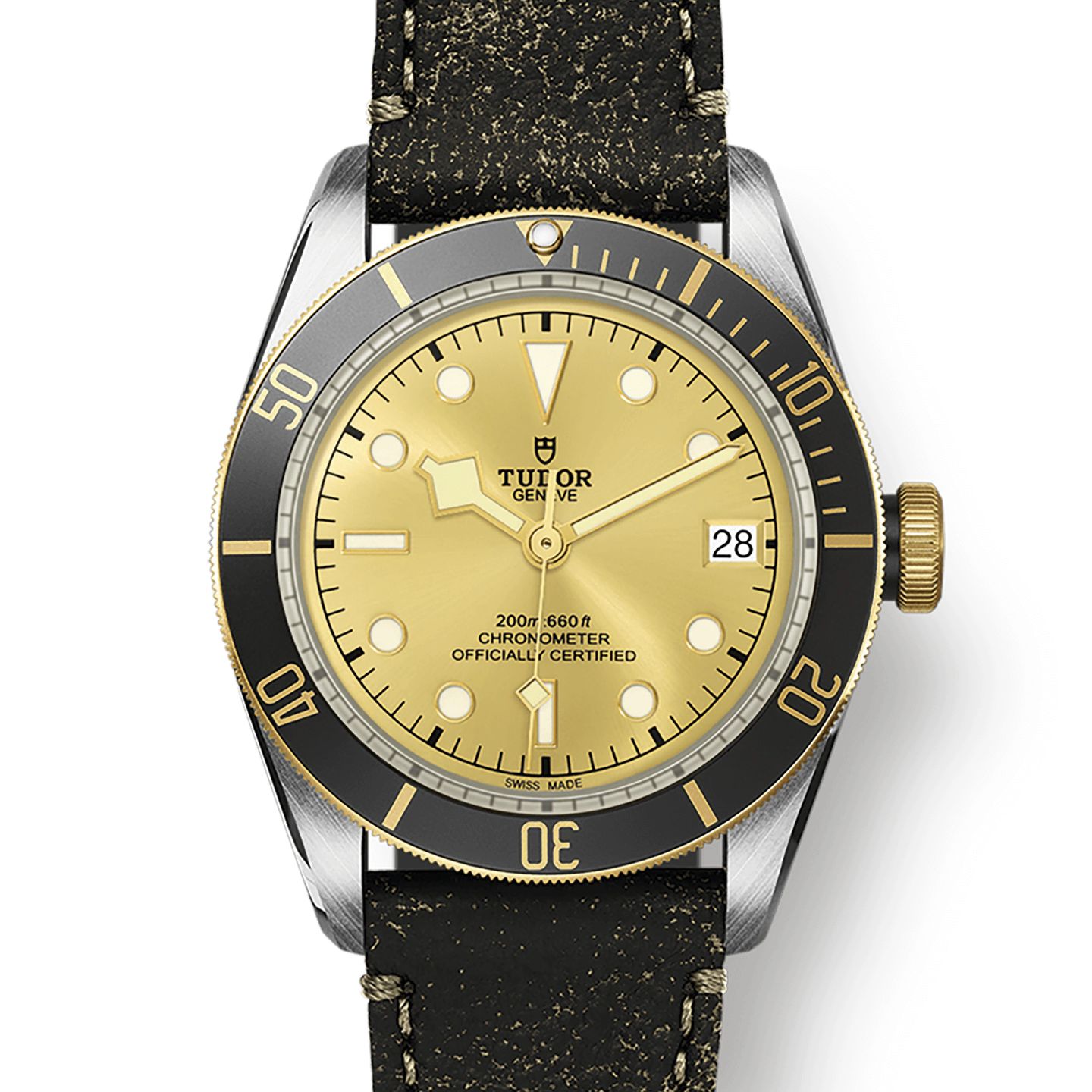 Tudor Black Bay S&G 79733N-0003 (2024) - Champagne dial 41 mm Steel case (1/1)