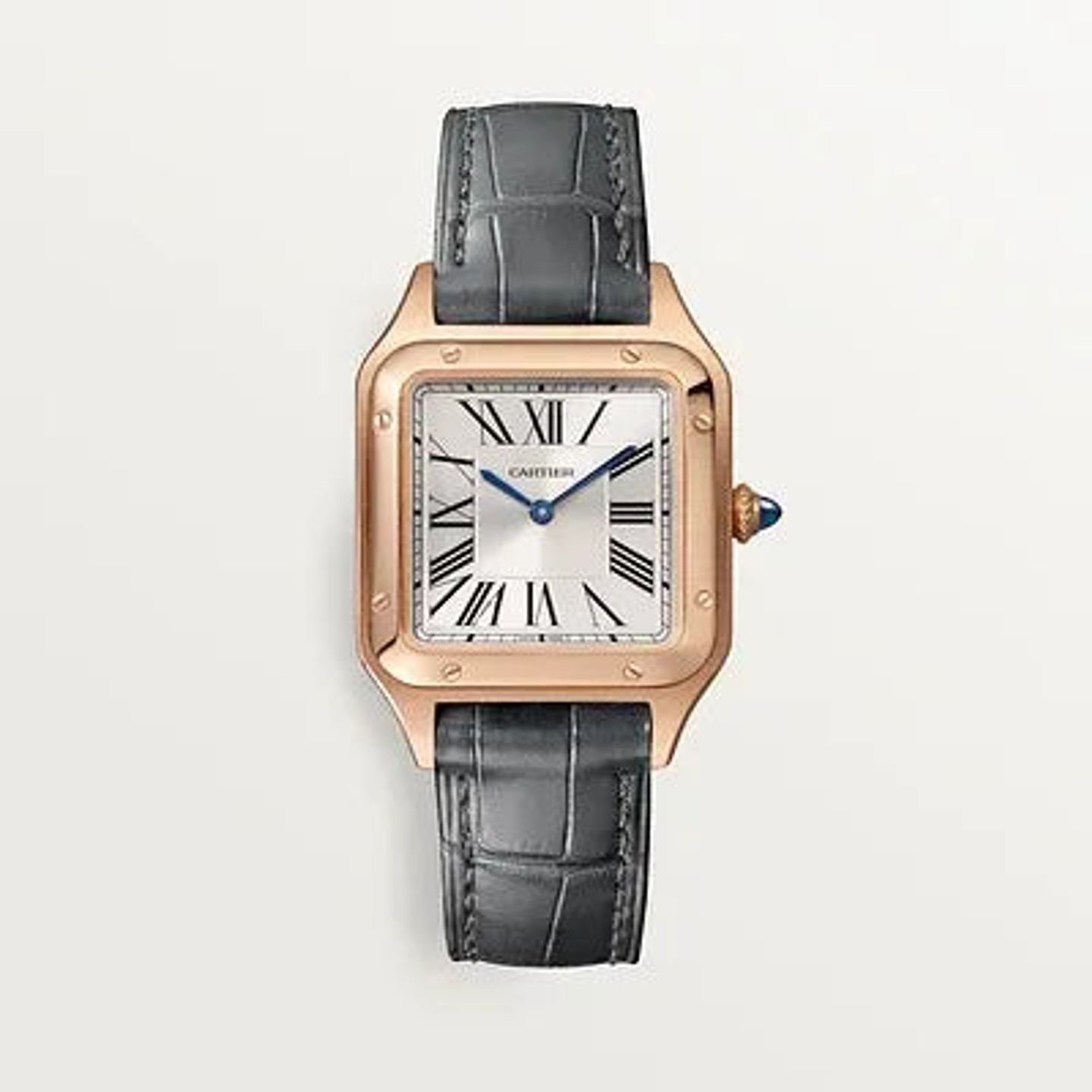 Cartier Santos Dumont WGSA0022 - (1/1)