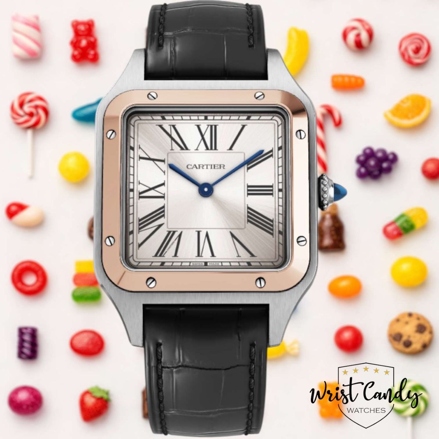 Cartier Santos Dumont W2SA0011 - (1/8)