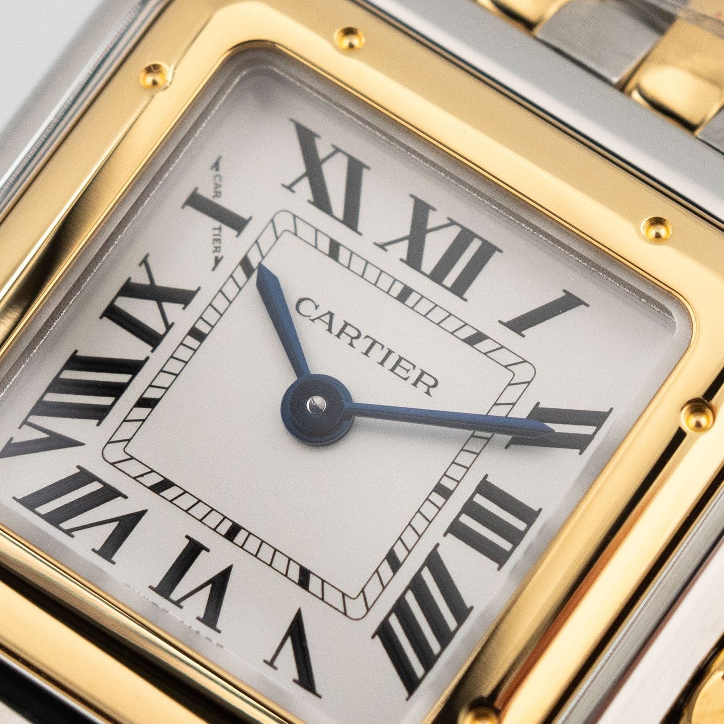 Cartier Panthère W2PN0018 - (3/6)