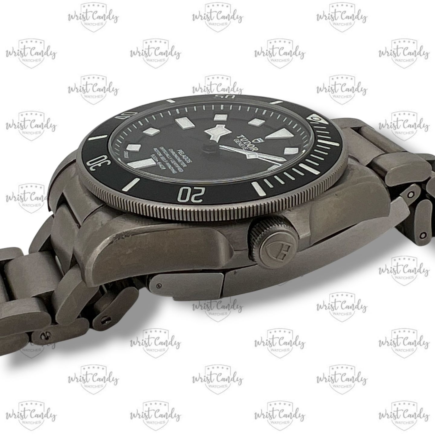 Tudor Pelagos 25600TN - (6/8)