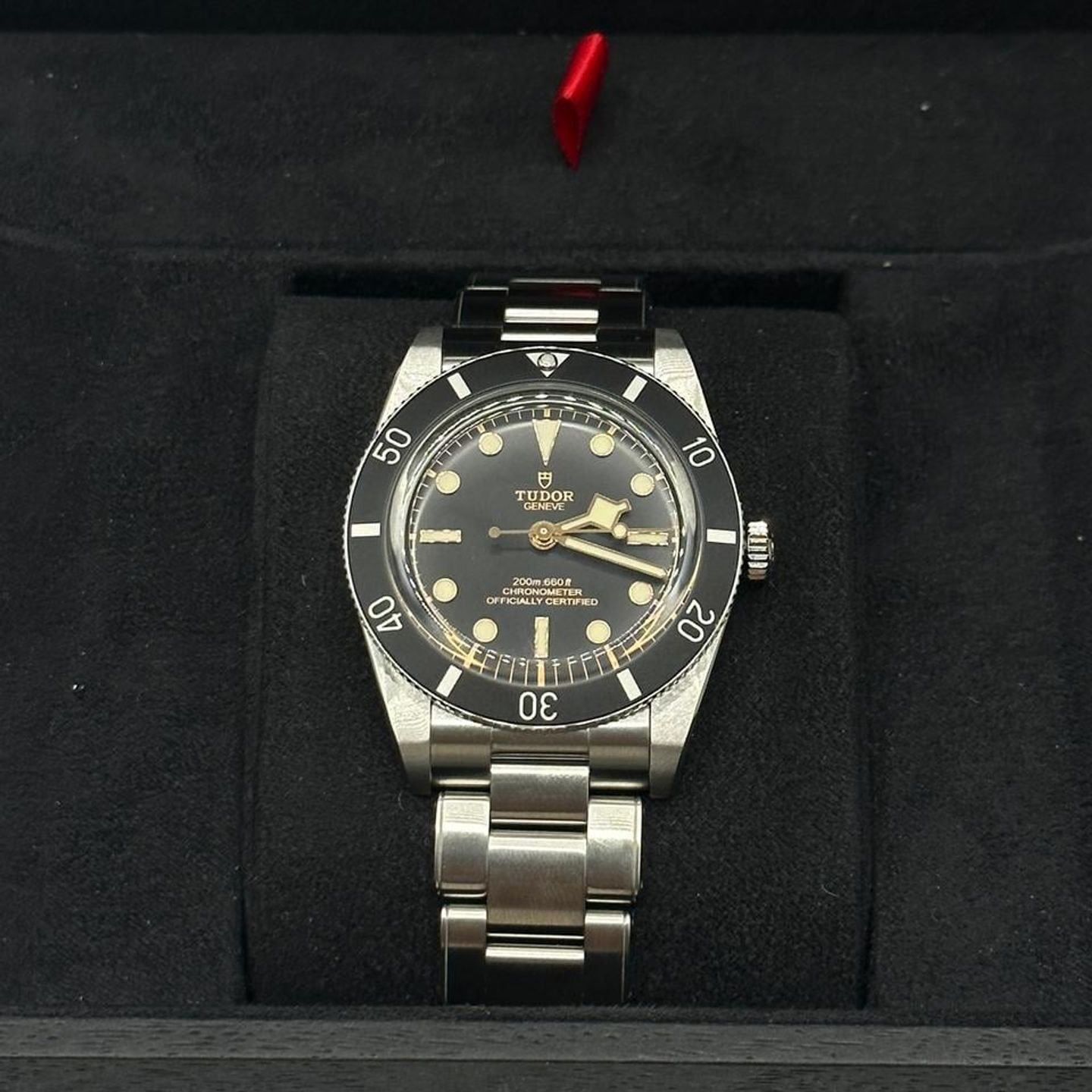 Tudor Black Bay 54 79000N - (2/10)