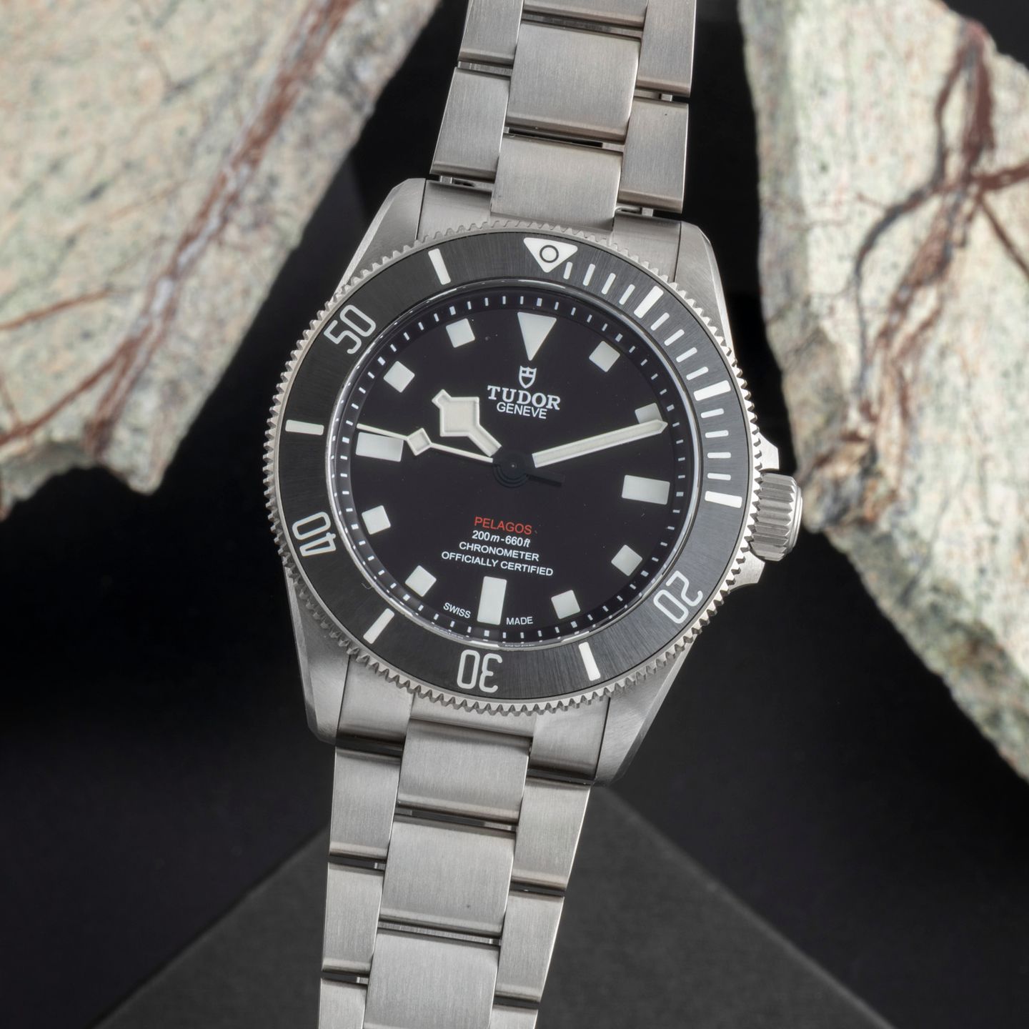 Tudor Pelagos 25407N - (3/8)