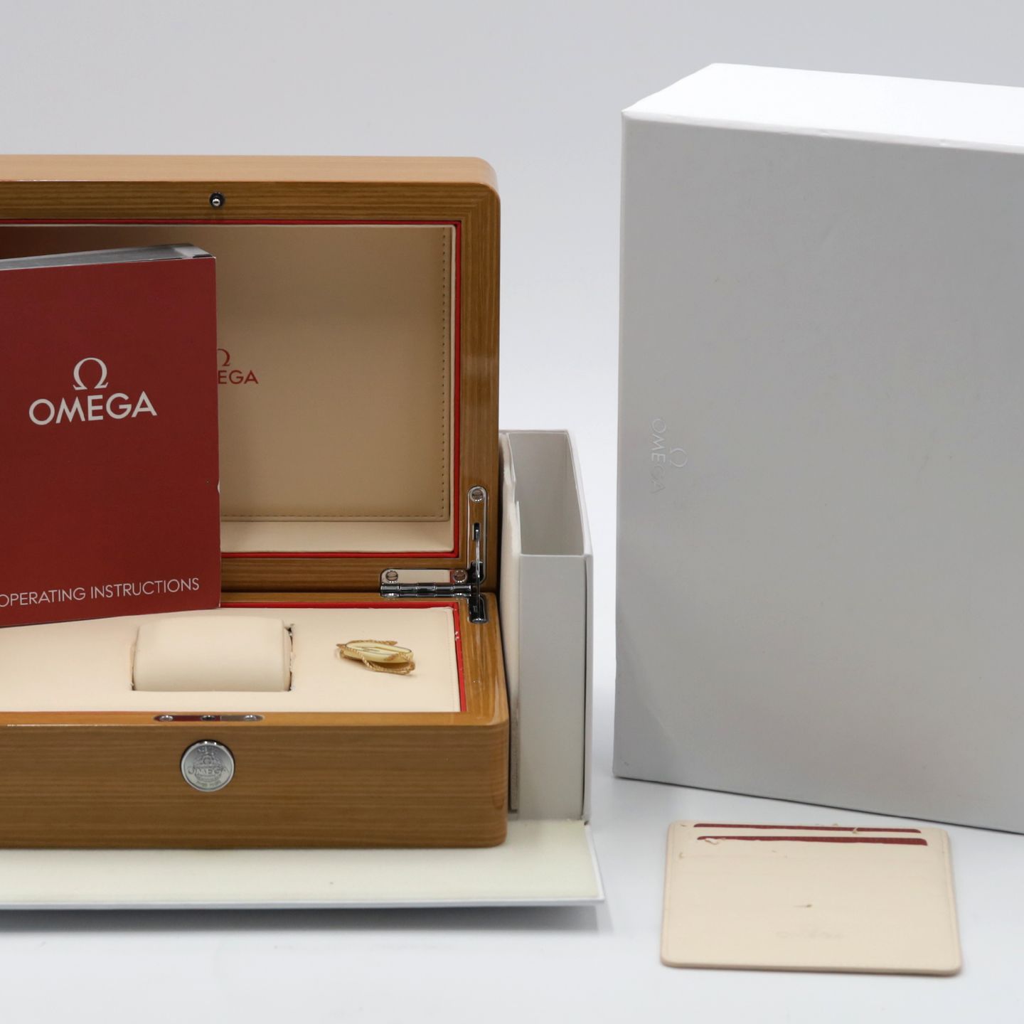 Omega Seamaster Aqua Terra 231.10.42.21.02.001 - (8/8)