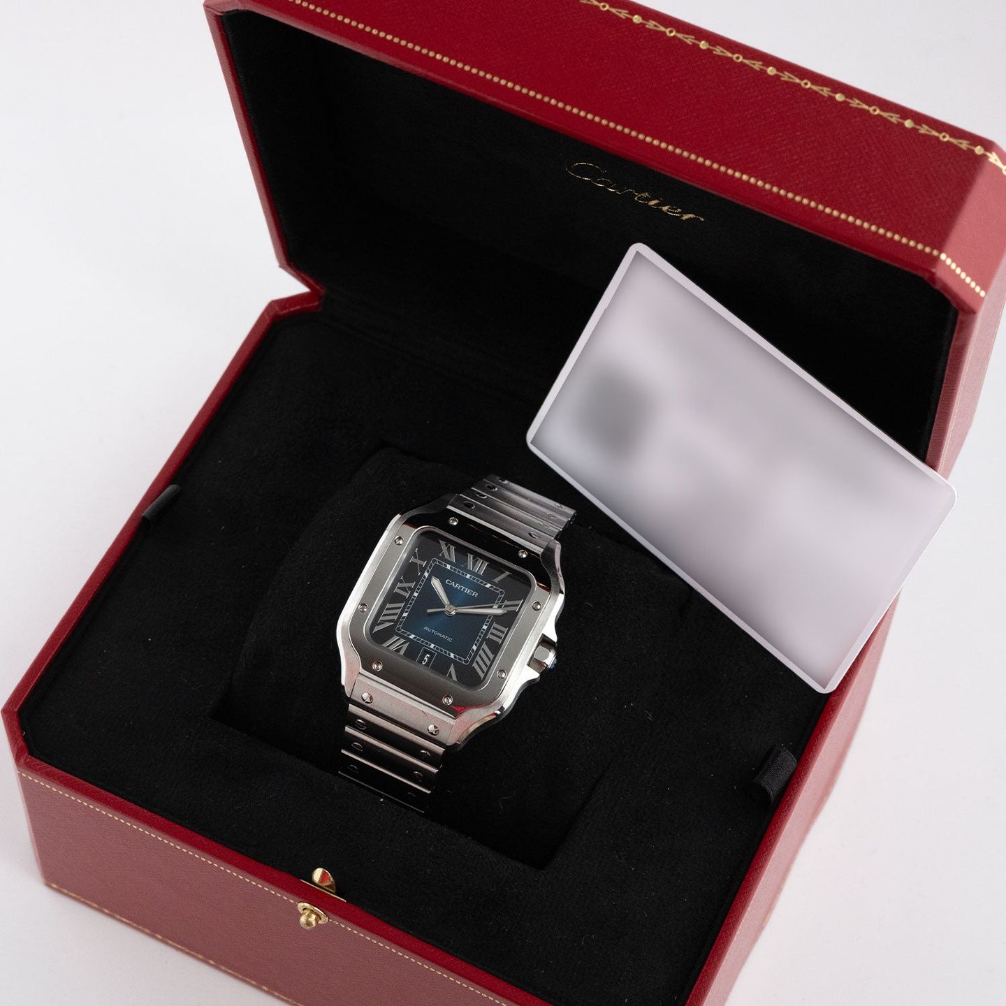 Cartier Santos WSSA0030 - (6/6)