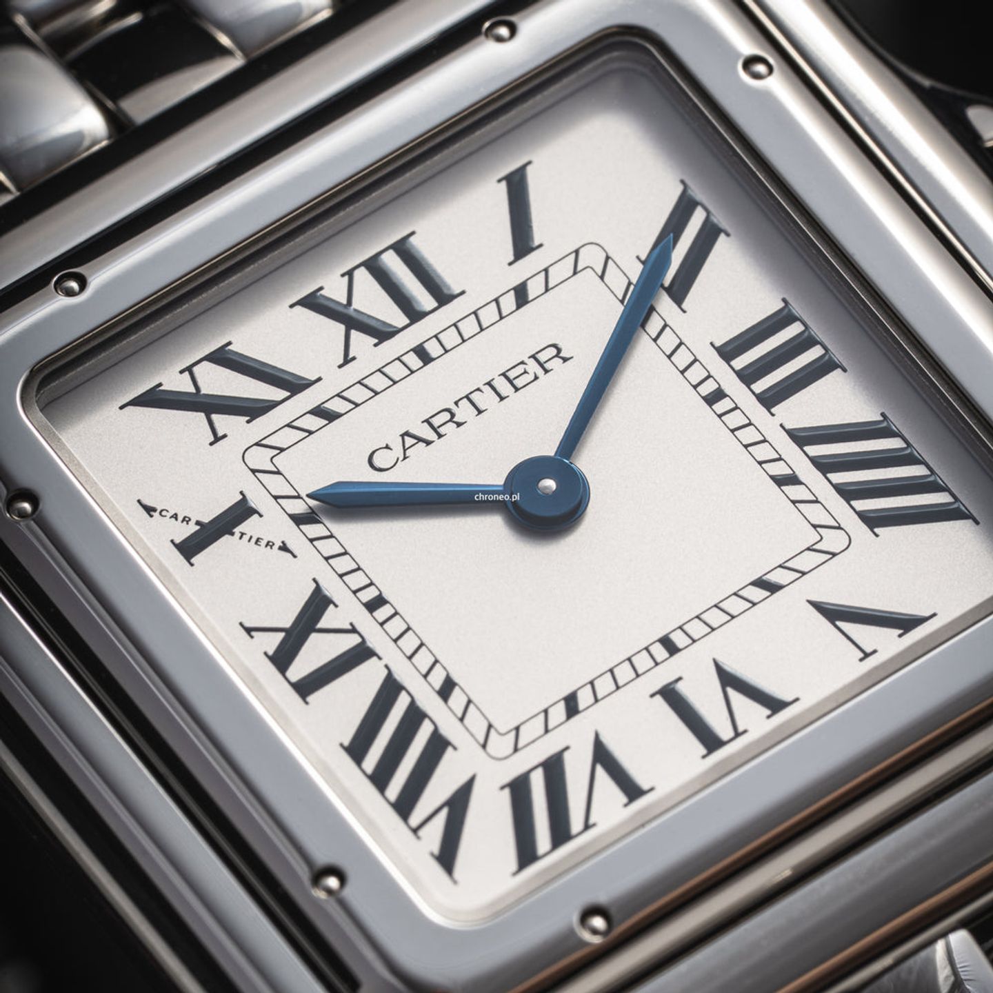 Cartier Panthère WSPN0011 (2025) - Zilver wijzerplaat 31mm Staal (2/7)