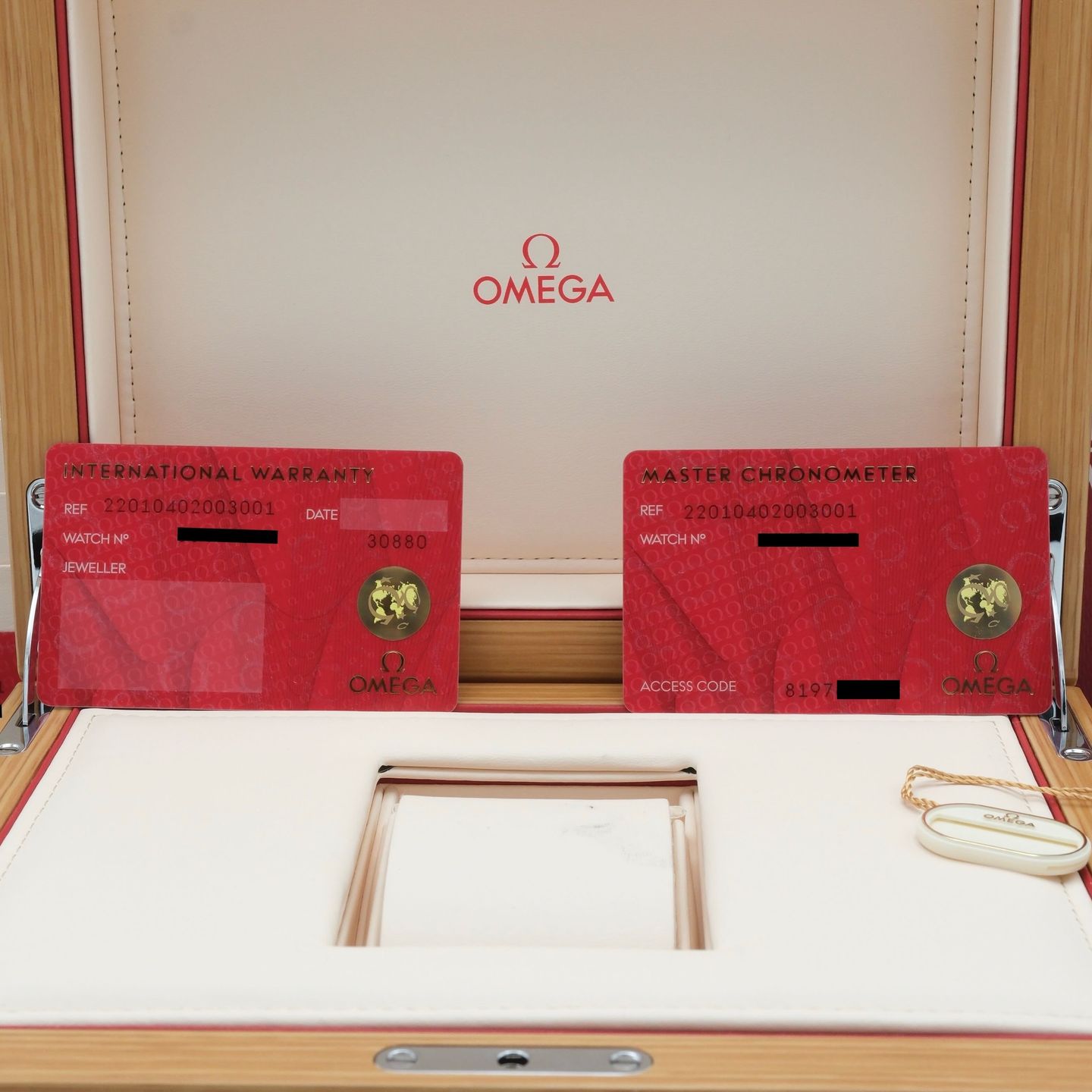 Omega Seamaster Railmaster 220.10.40.20.03.001 - (8/8)