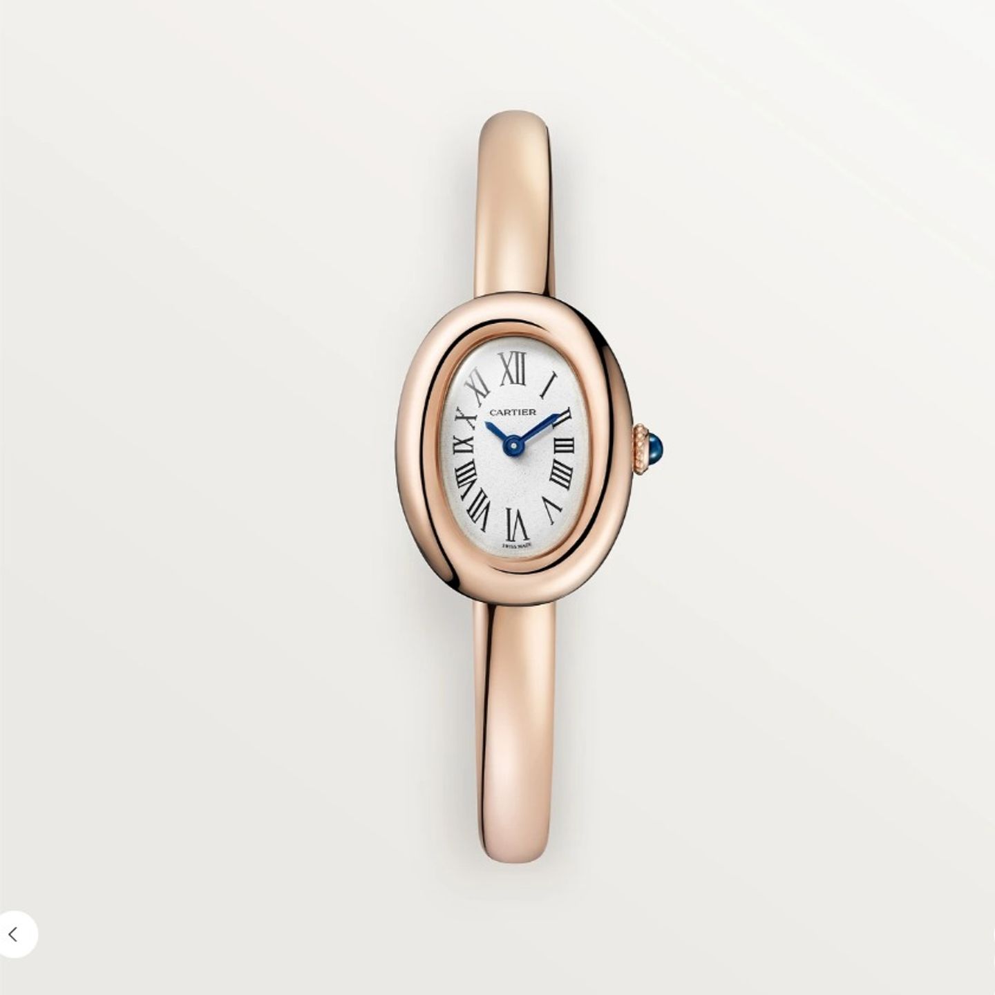 Cartier Baignoire WGBA0047 (2025) - Zilver wijzerplaat 17mm Roségoud (1/1)