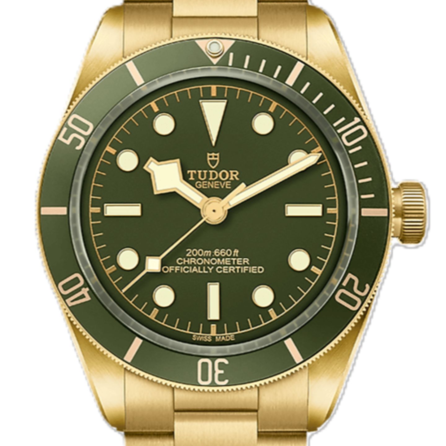Tudor Black Bay Fifty-Eight 79018V (2026) - Bruin wijzerplaat 39mm Geelgoud (1/1)