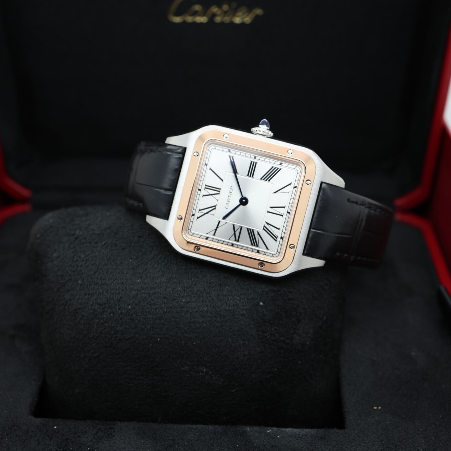 Cartier Santos Dumont W2SA0037 - (6/7)