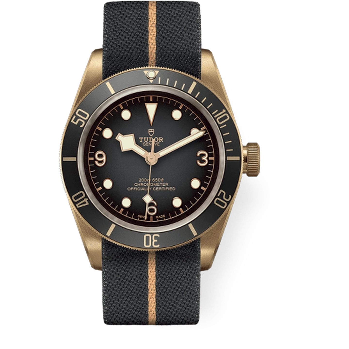 Tudor Black Bay Bronze 79250BA (2025) - Grey dial 43 mm Bronze case (1/1)