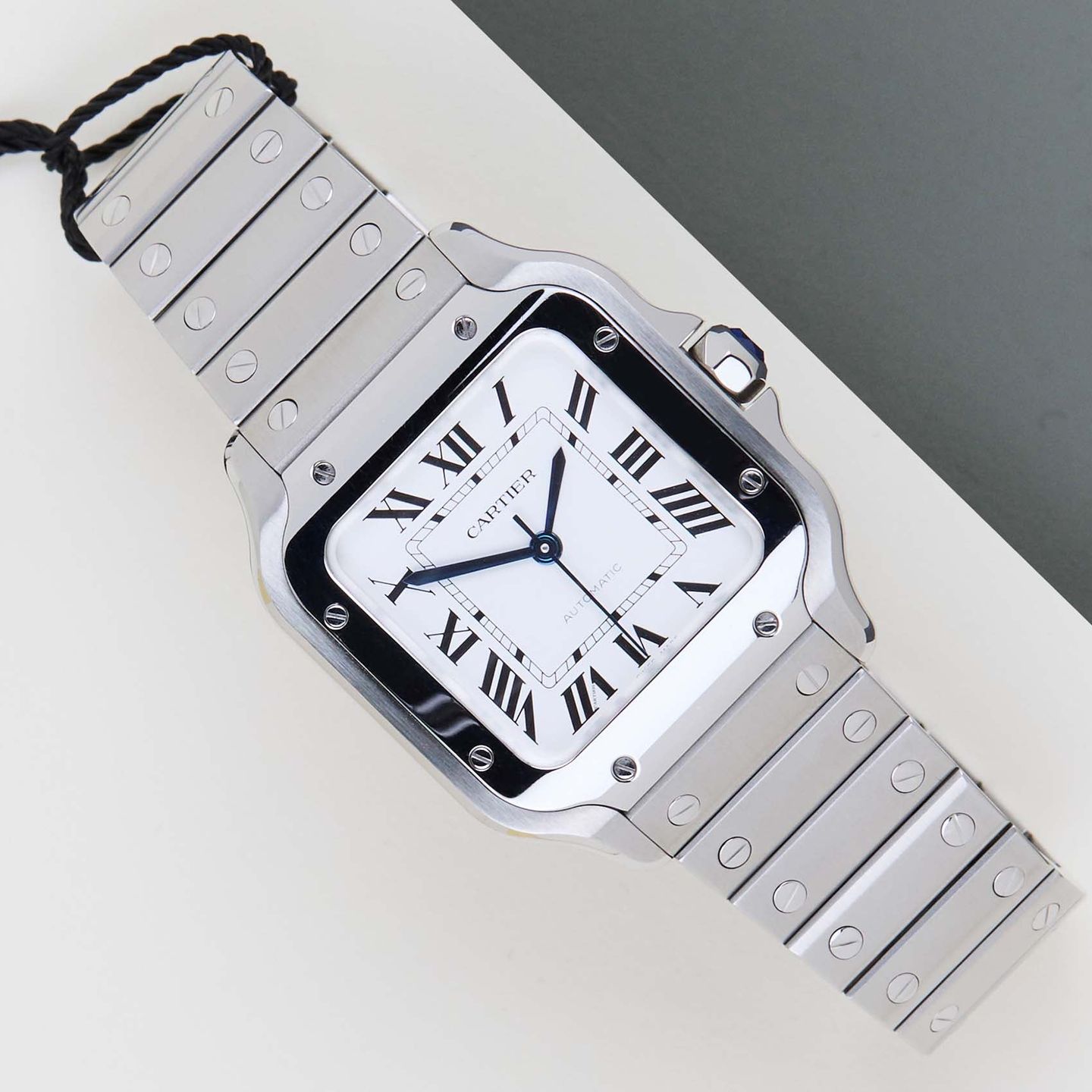 Cartier Santos WSSA0029 - (1/8)